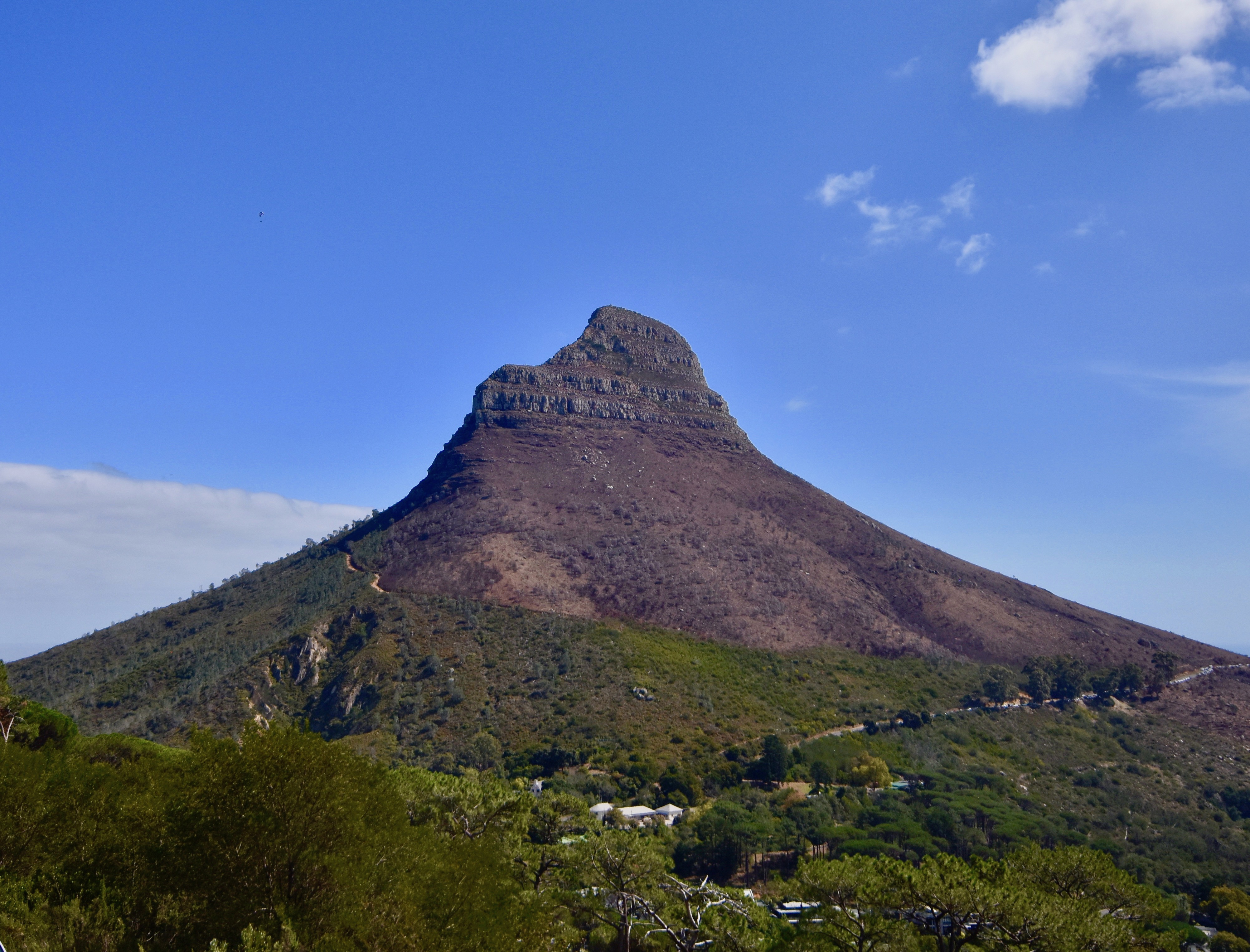 Lion's Head 