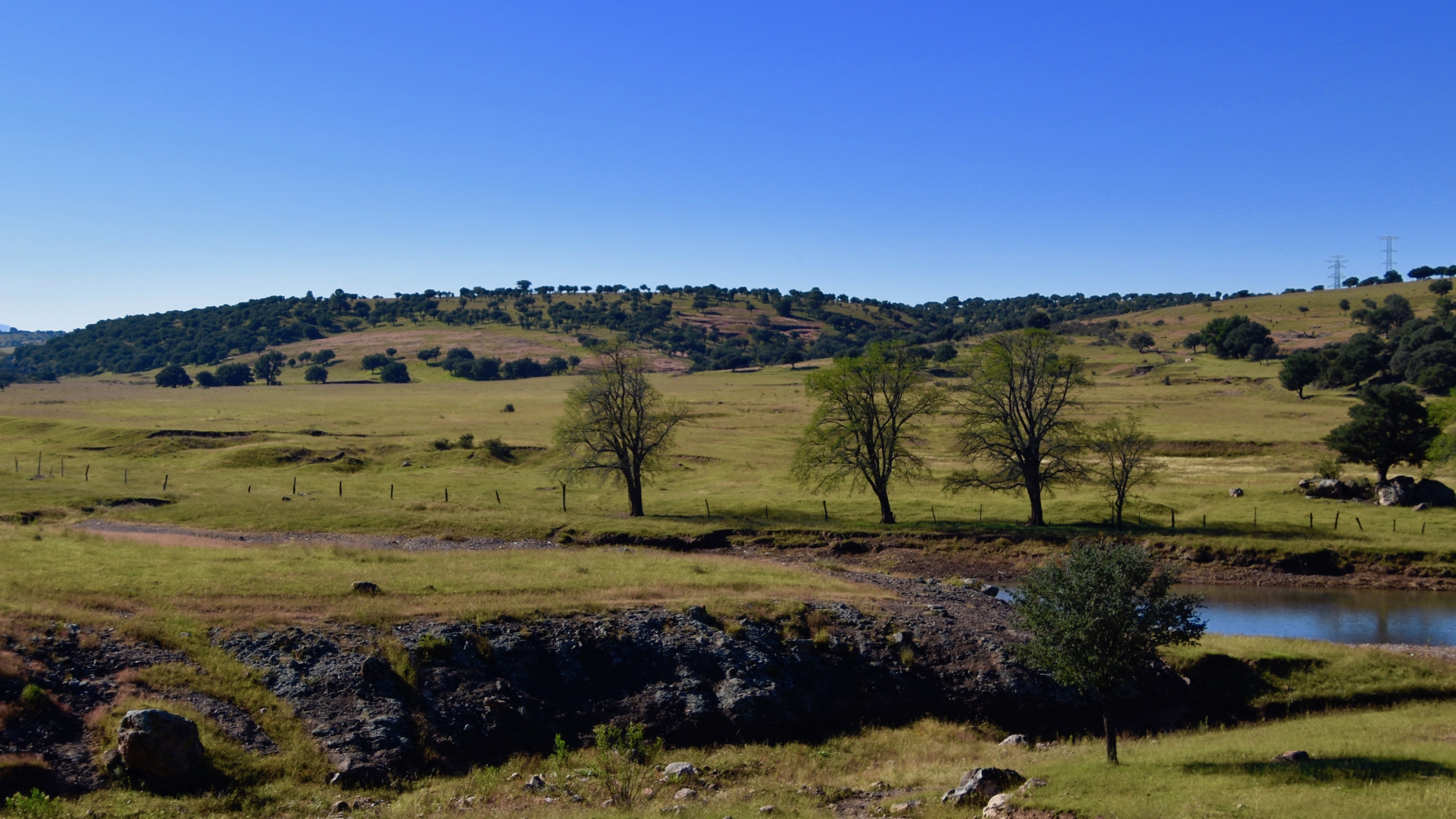 Rolling Hills on El Chepe