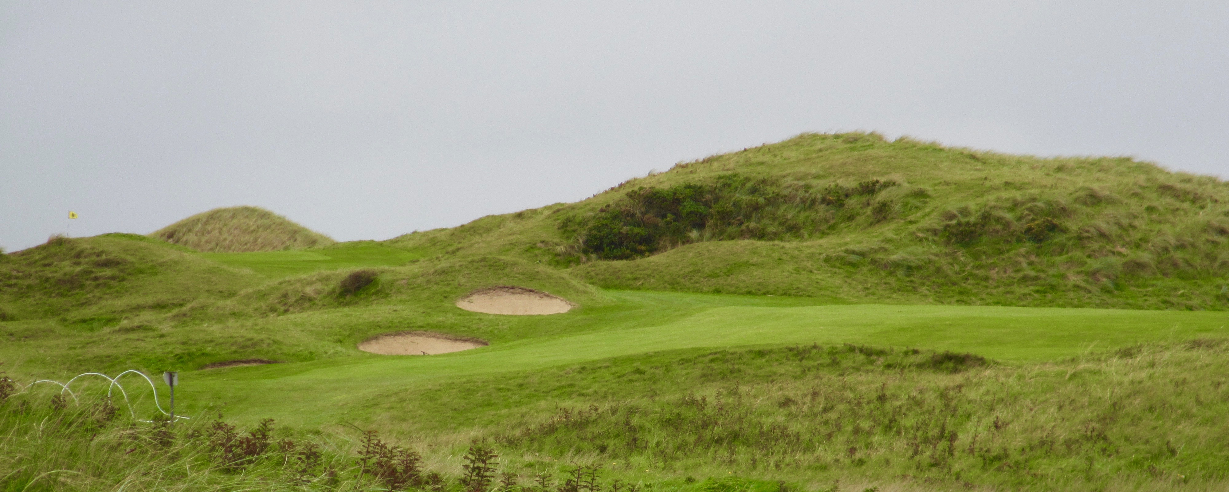 No. 15 From the Tee, Tralee