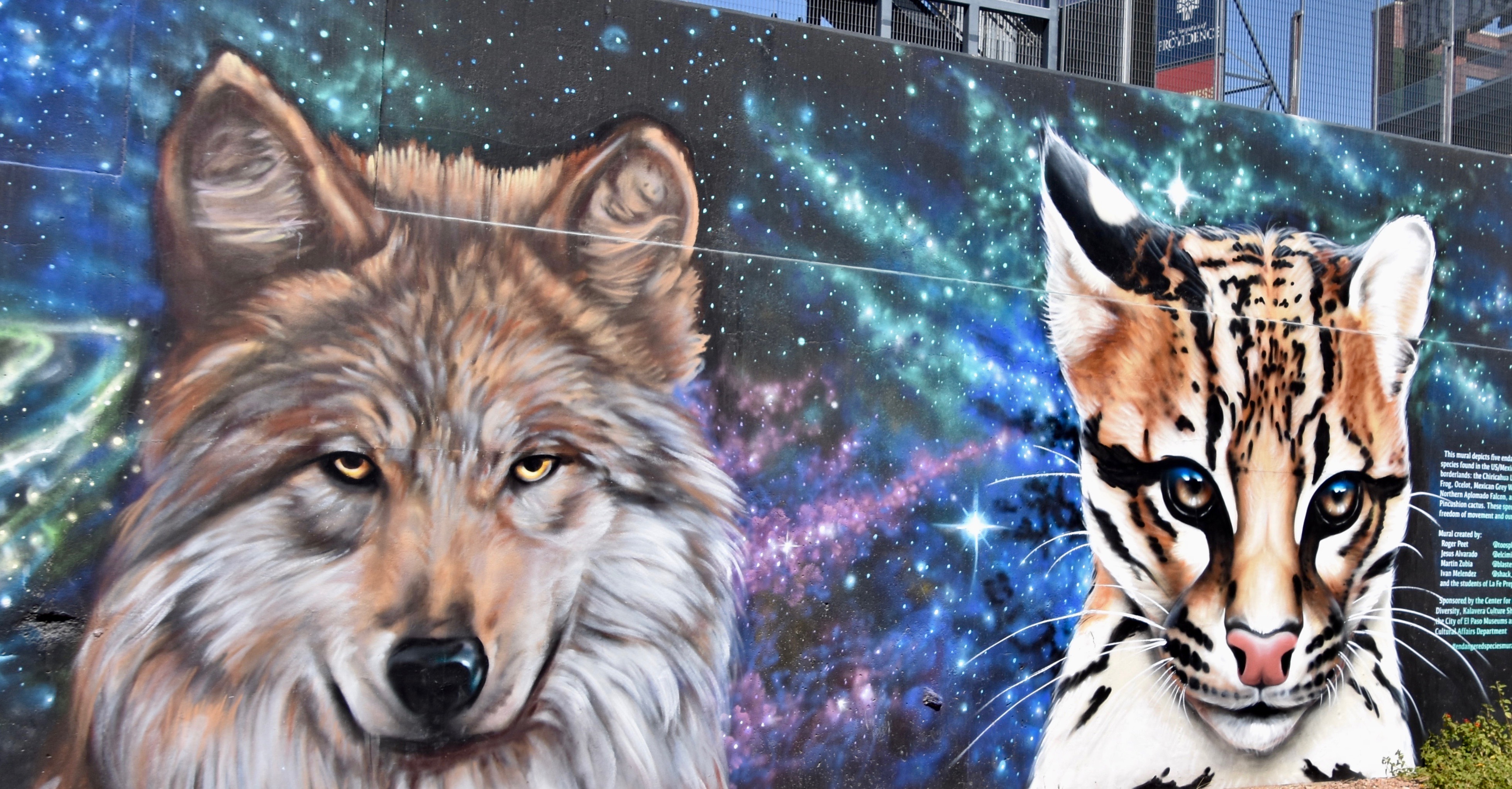 Wolf & Ocelot Mural, El Paso