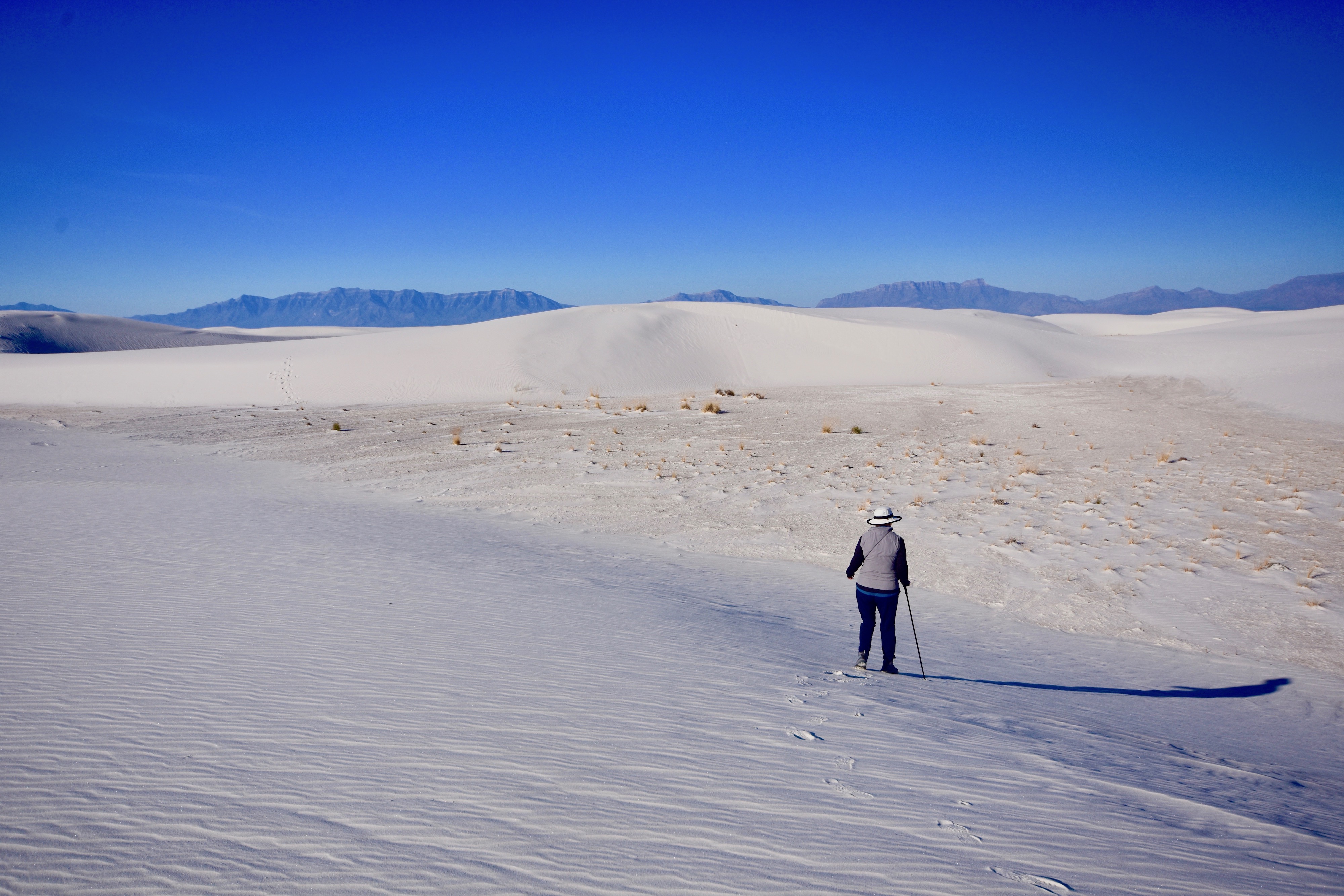 Rambling in White Sands