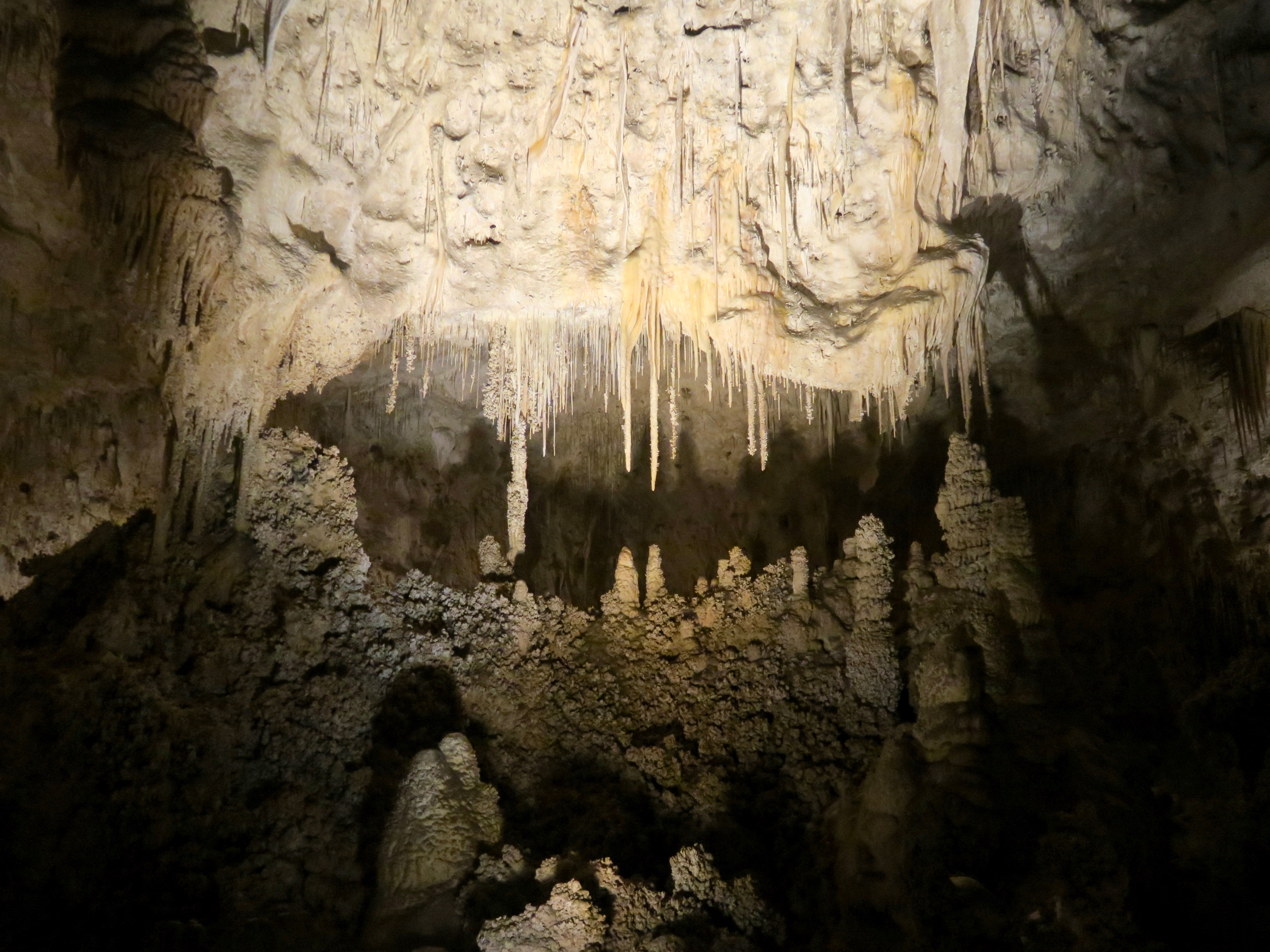 Carlsbad Caverns - Piranha