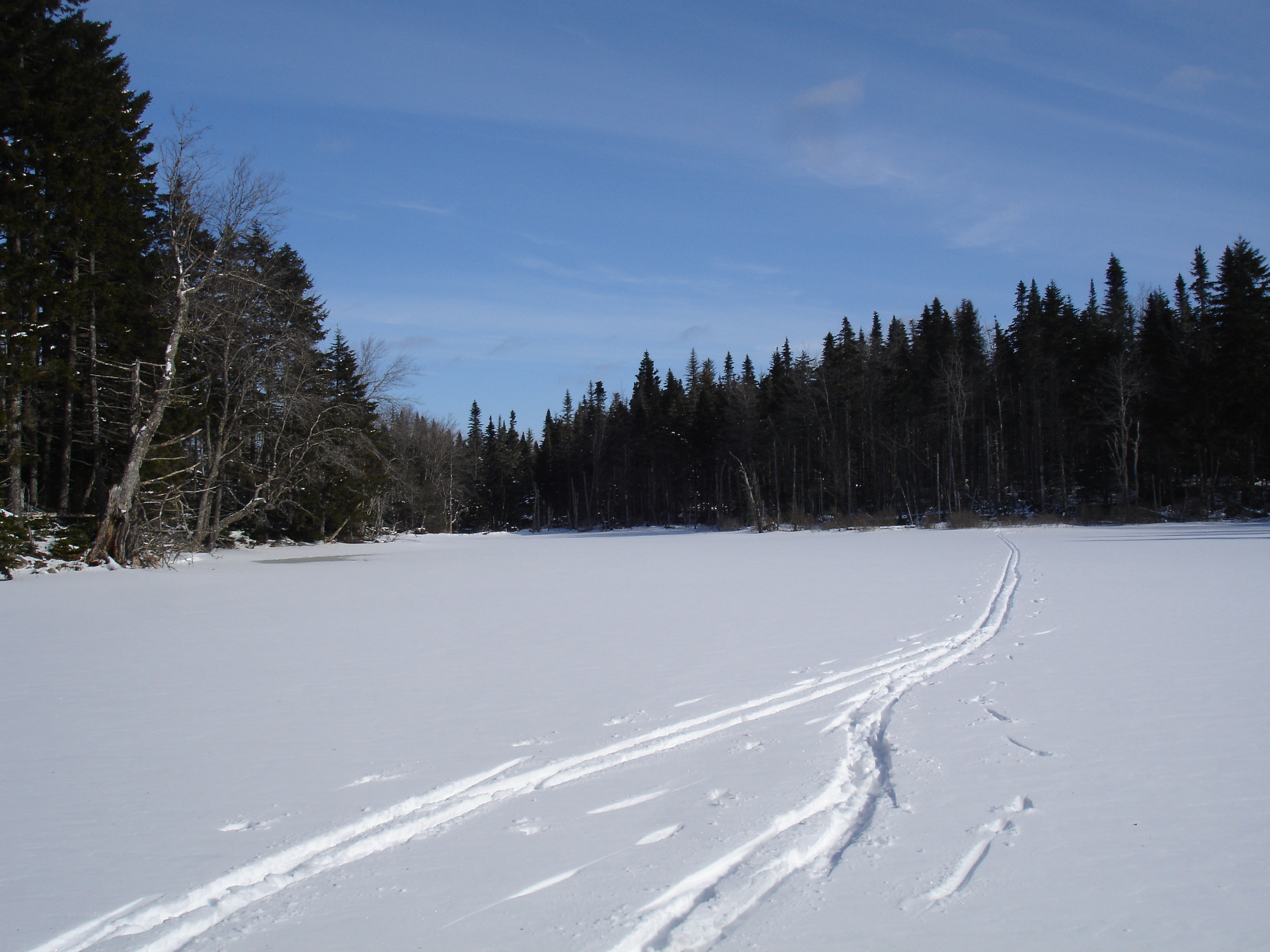 No Name Pond, Gully Lake Wilderness Area