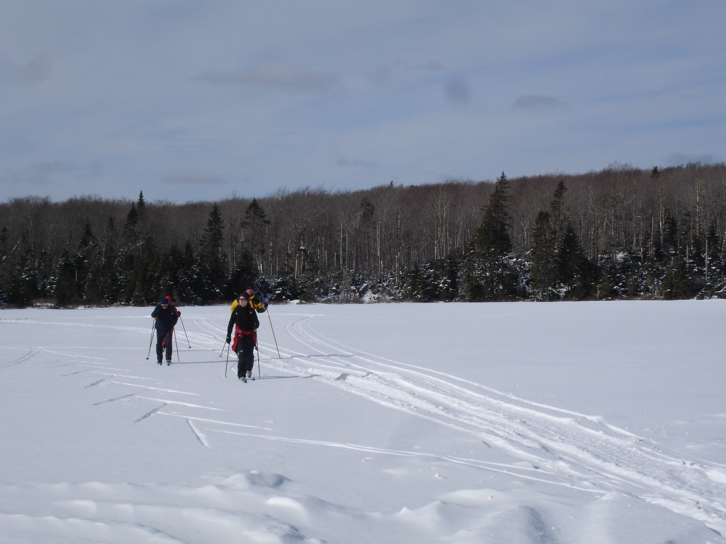 On McIntosh Pond, Gully Lake W.A.