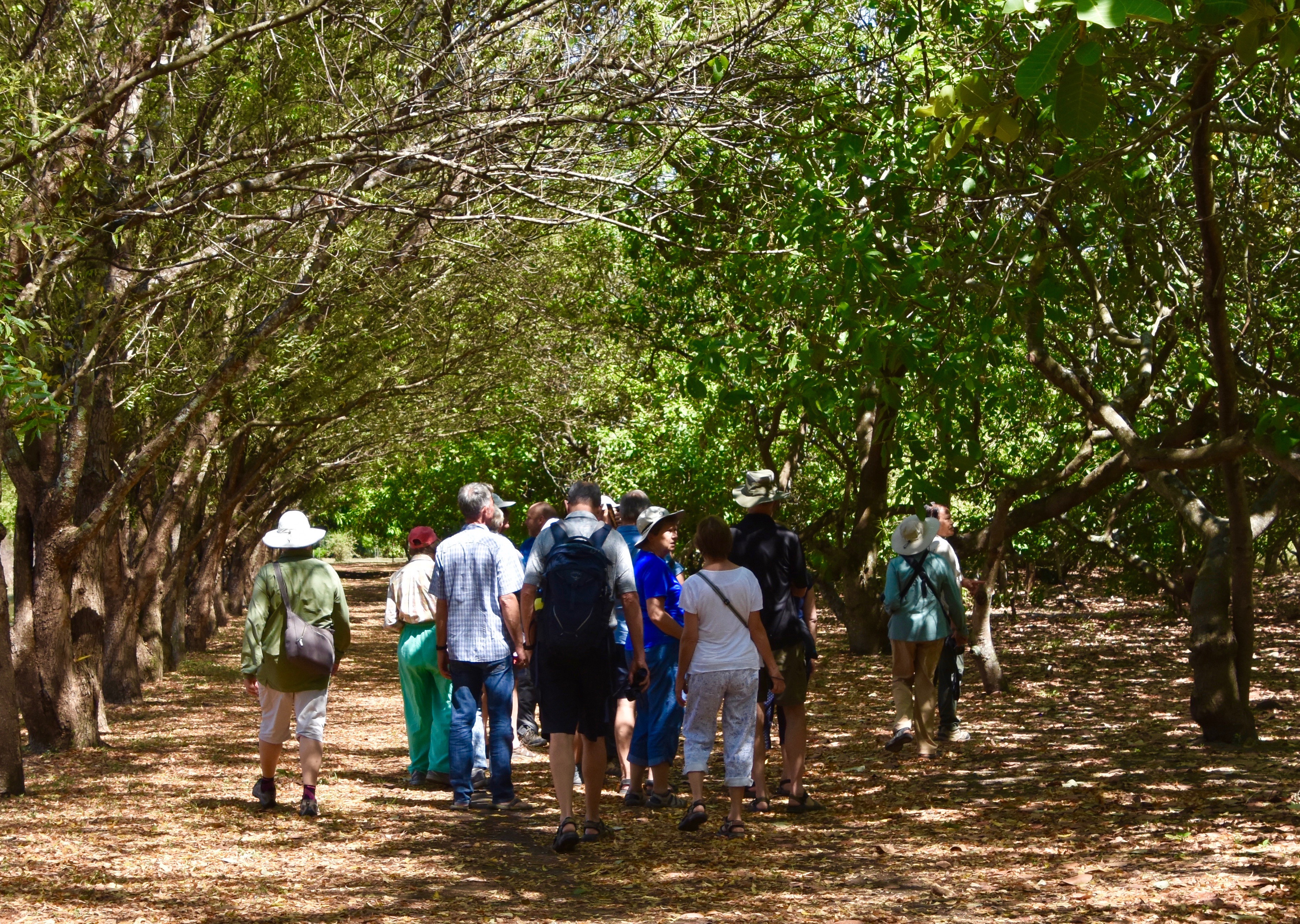 Heading for the Indigo Obraje, Hacienda los Nacimientos indigo farm