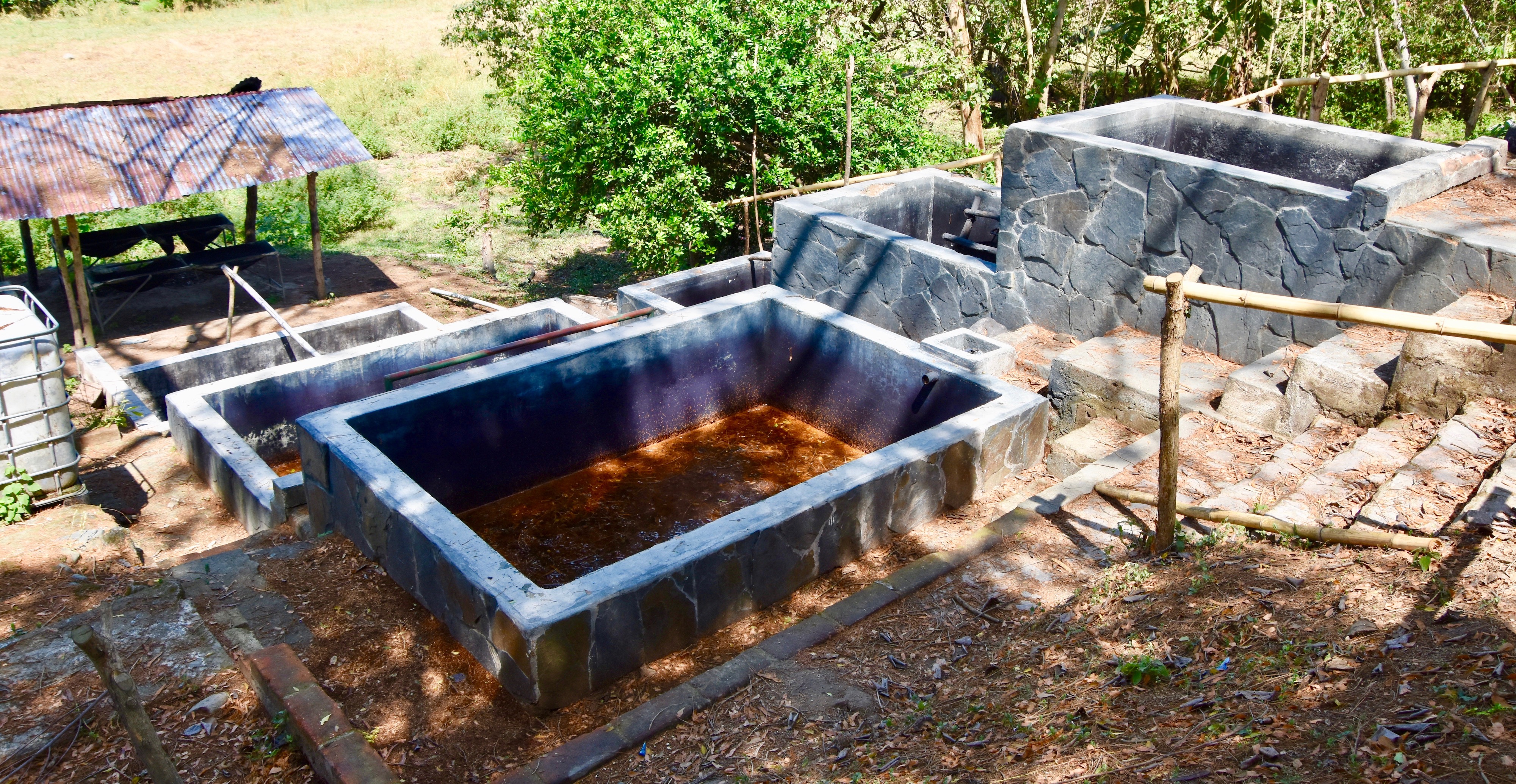 Indigo Obraje, Hacienda Los Nacimientos Indigo Farm