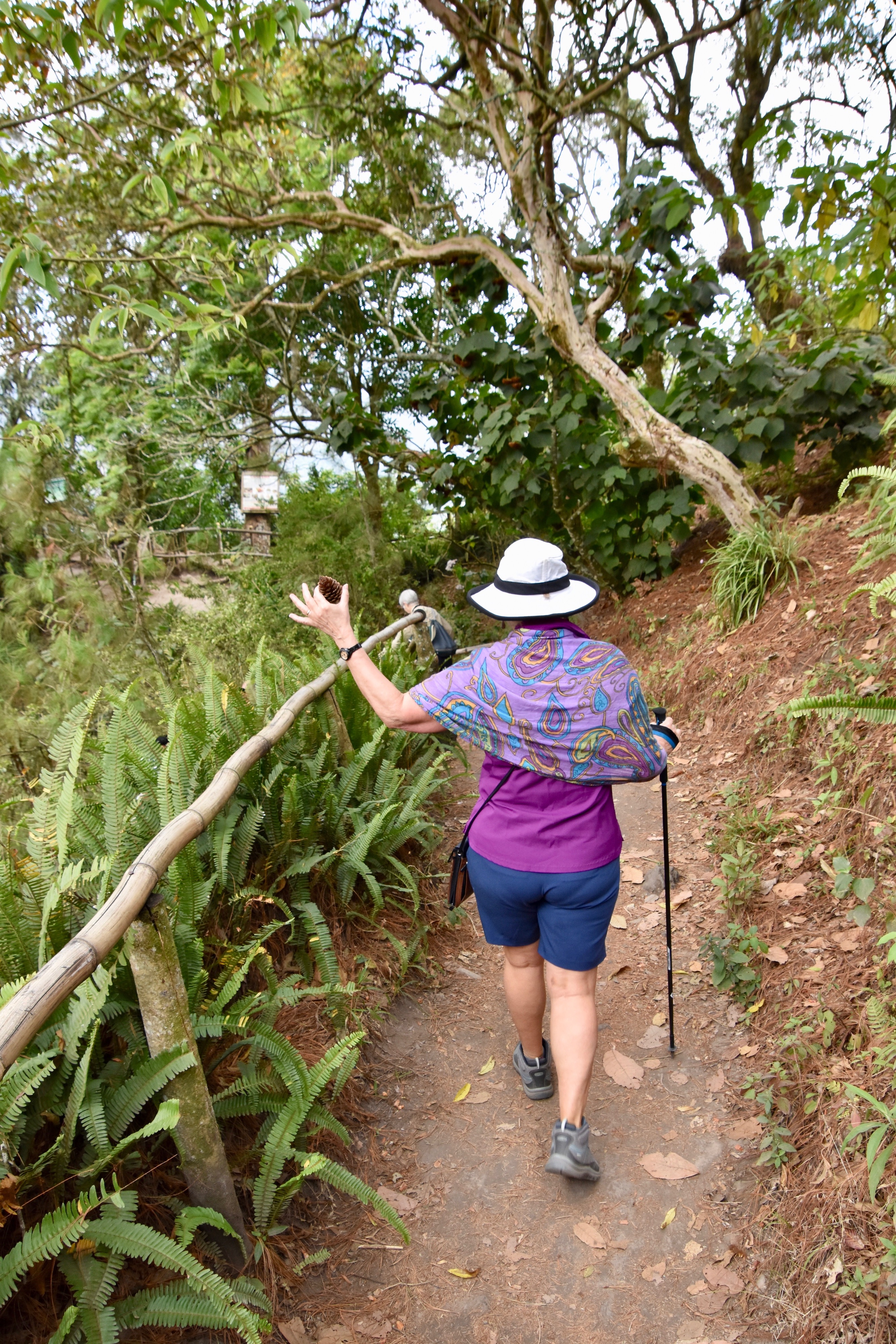 El Boqueron Trail