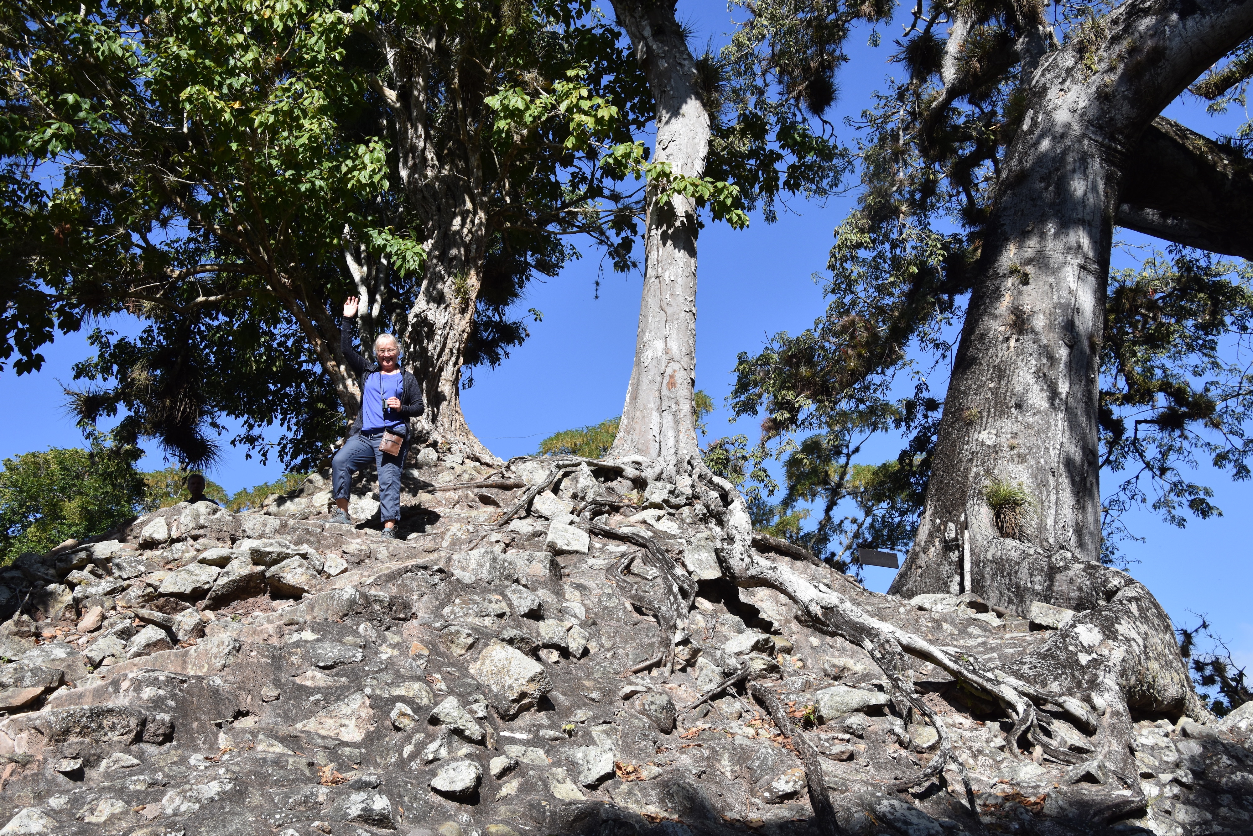 On Copan Acropolis