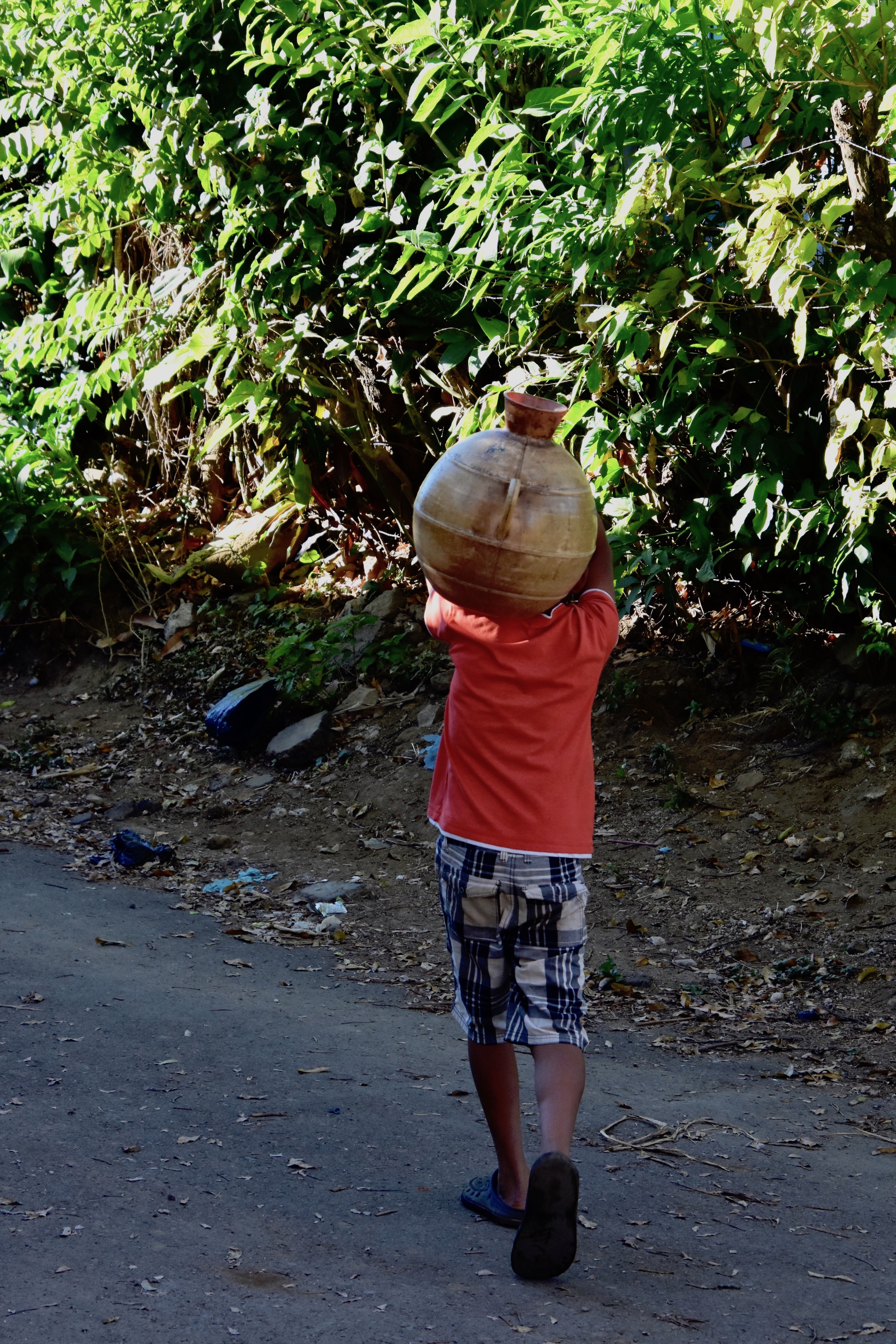 Boy with Pot, Salcoatitan