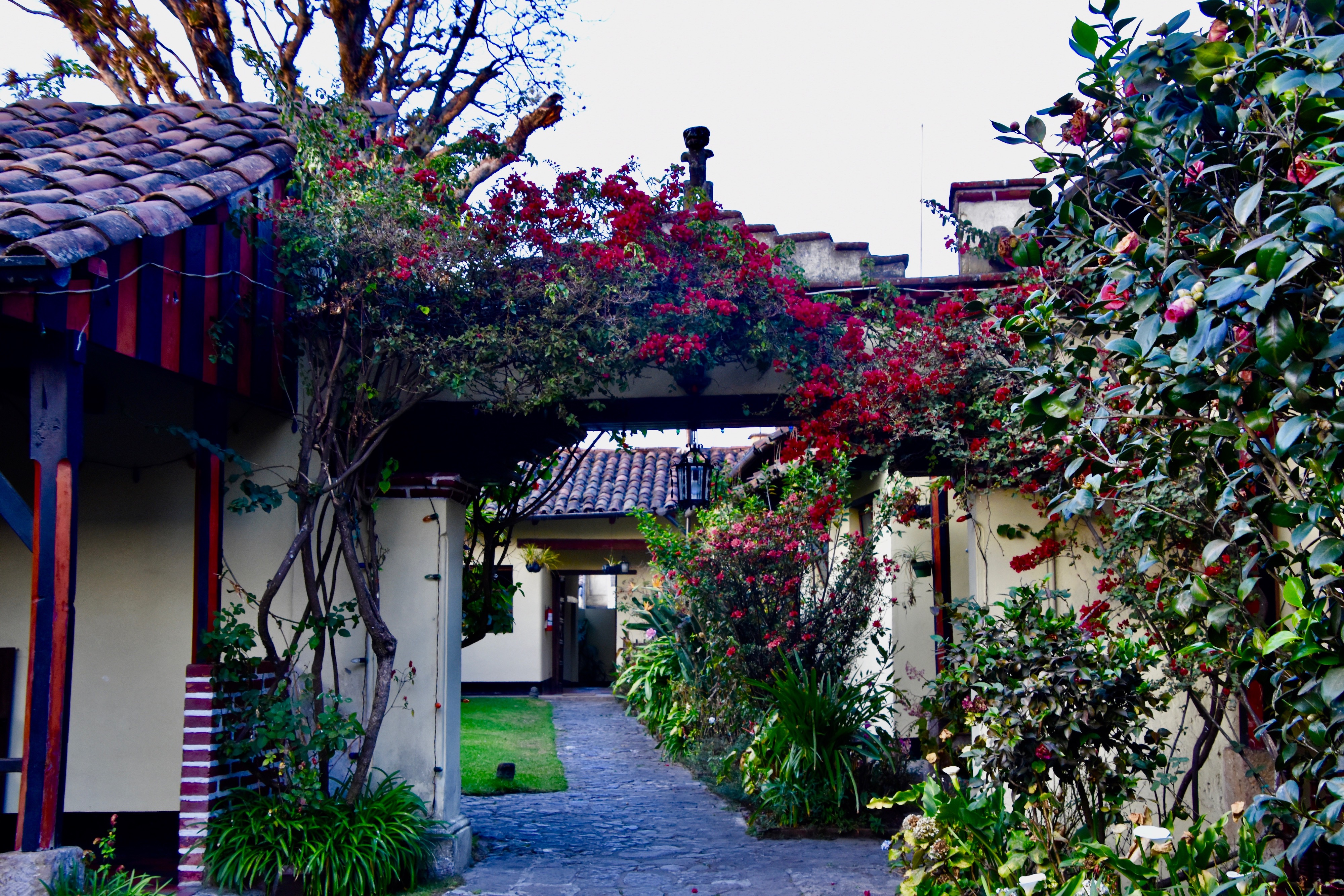 Flowers in Main Courtyard, Mayan Inn, Chichicastenango