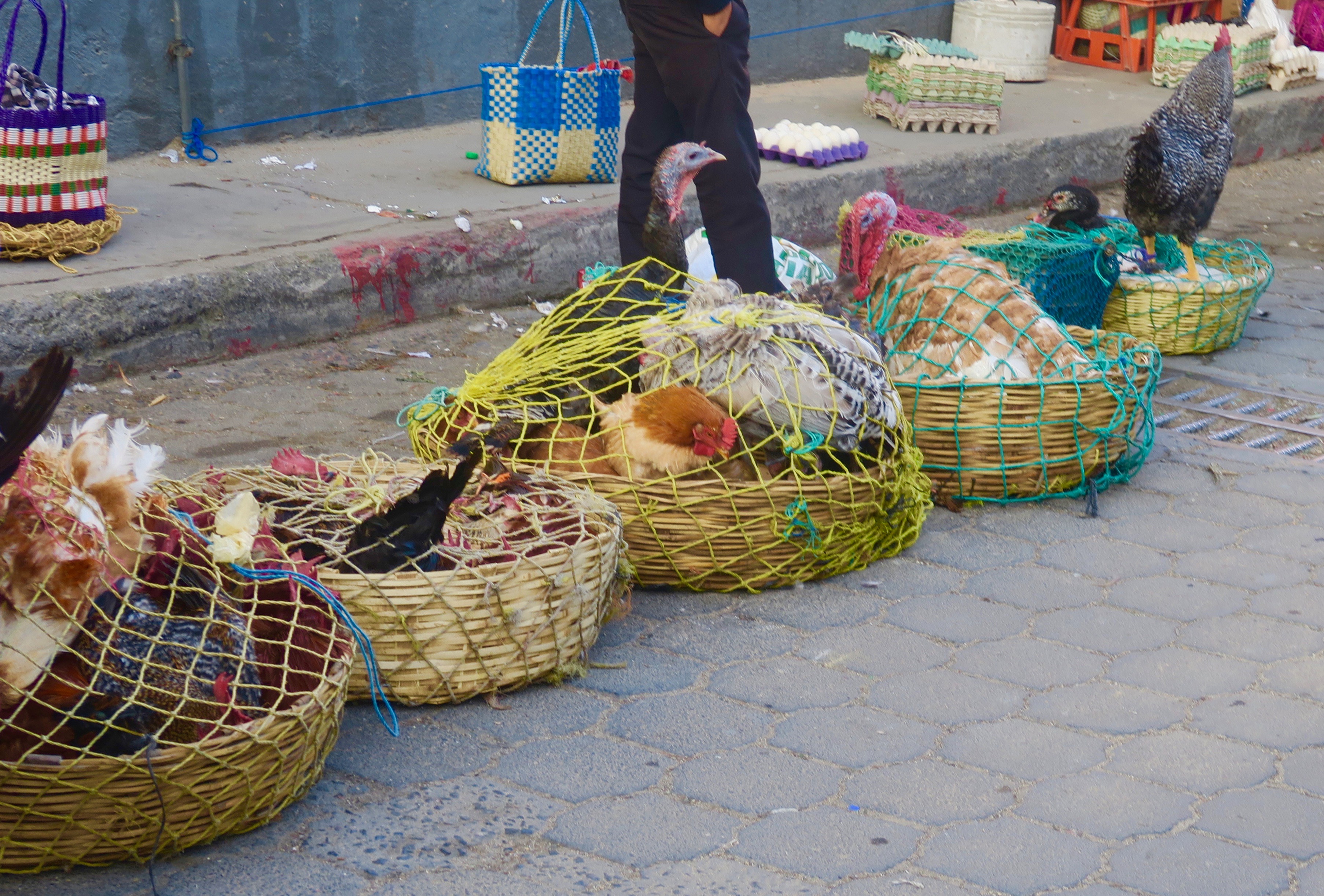 Turkeys For Sale, Chichicastenango Market