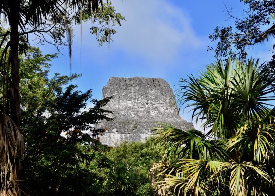 Lost World Temple, Tikal