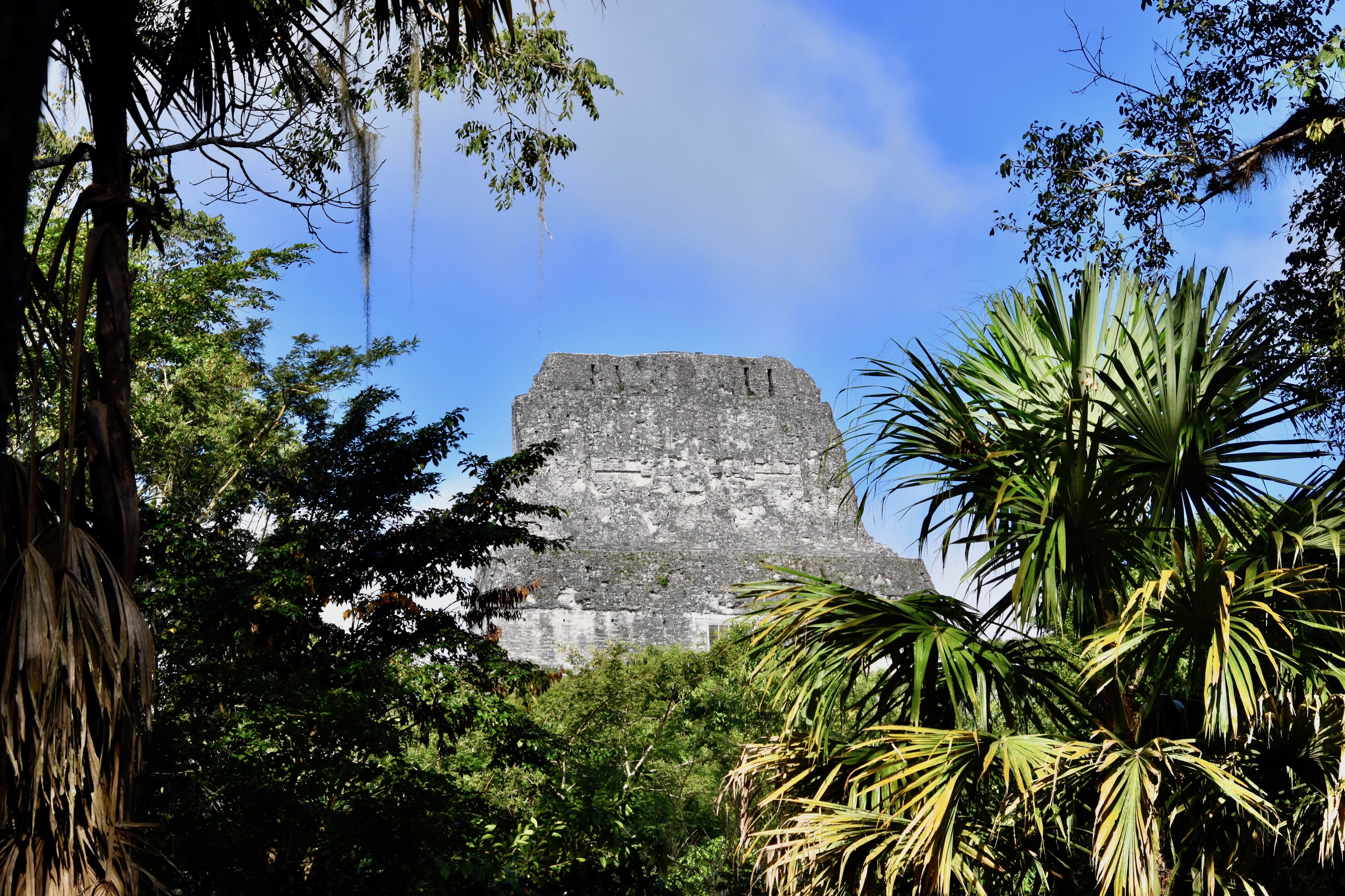 Lost World Temple, Tikal