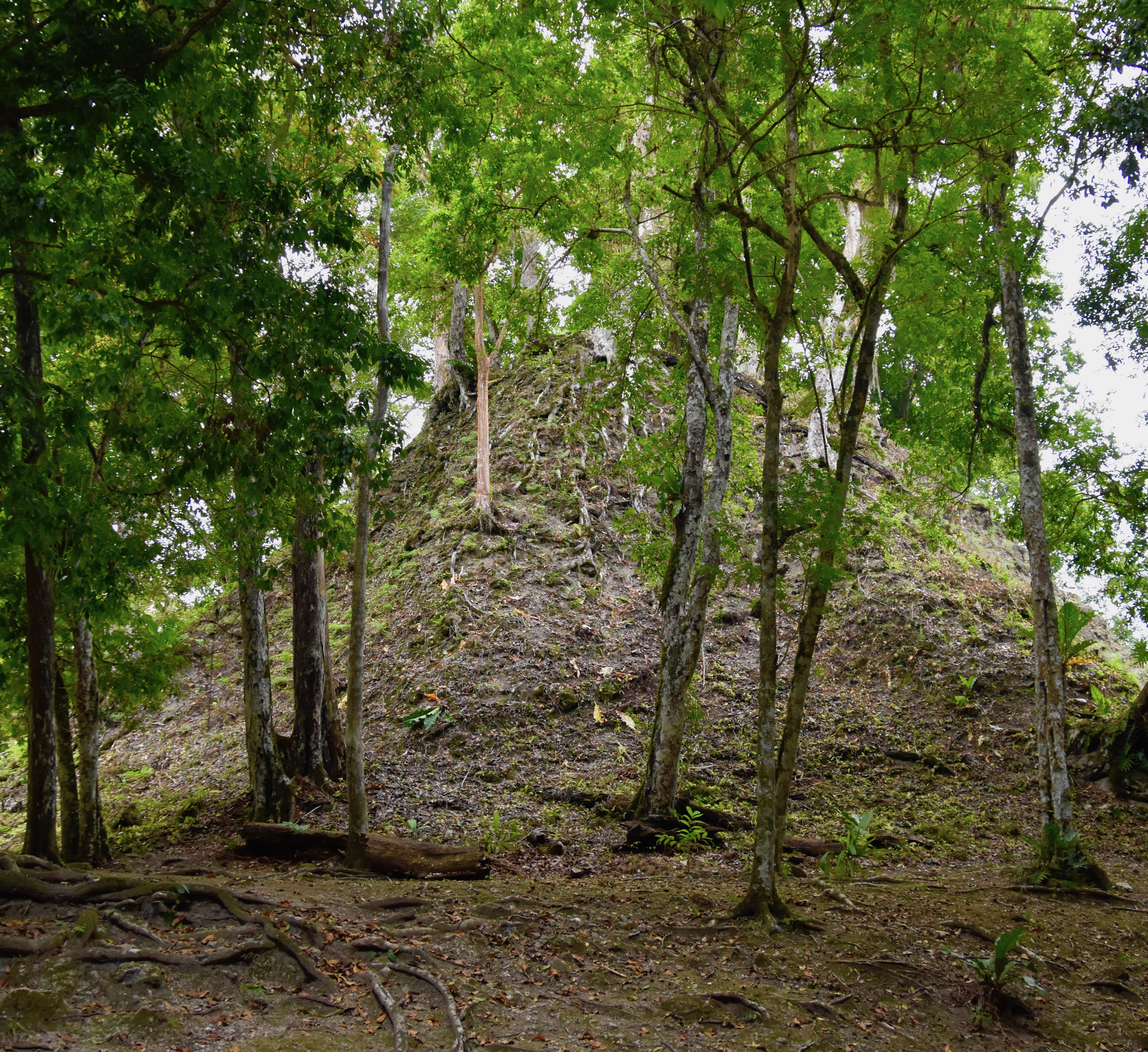 Unexcavated Pyramid near Complex R, Tikal