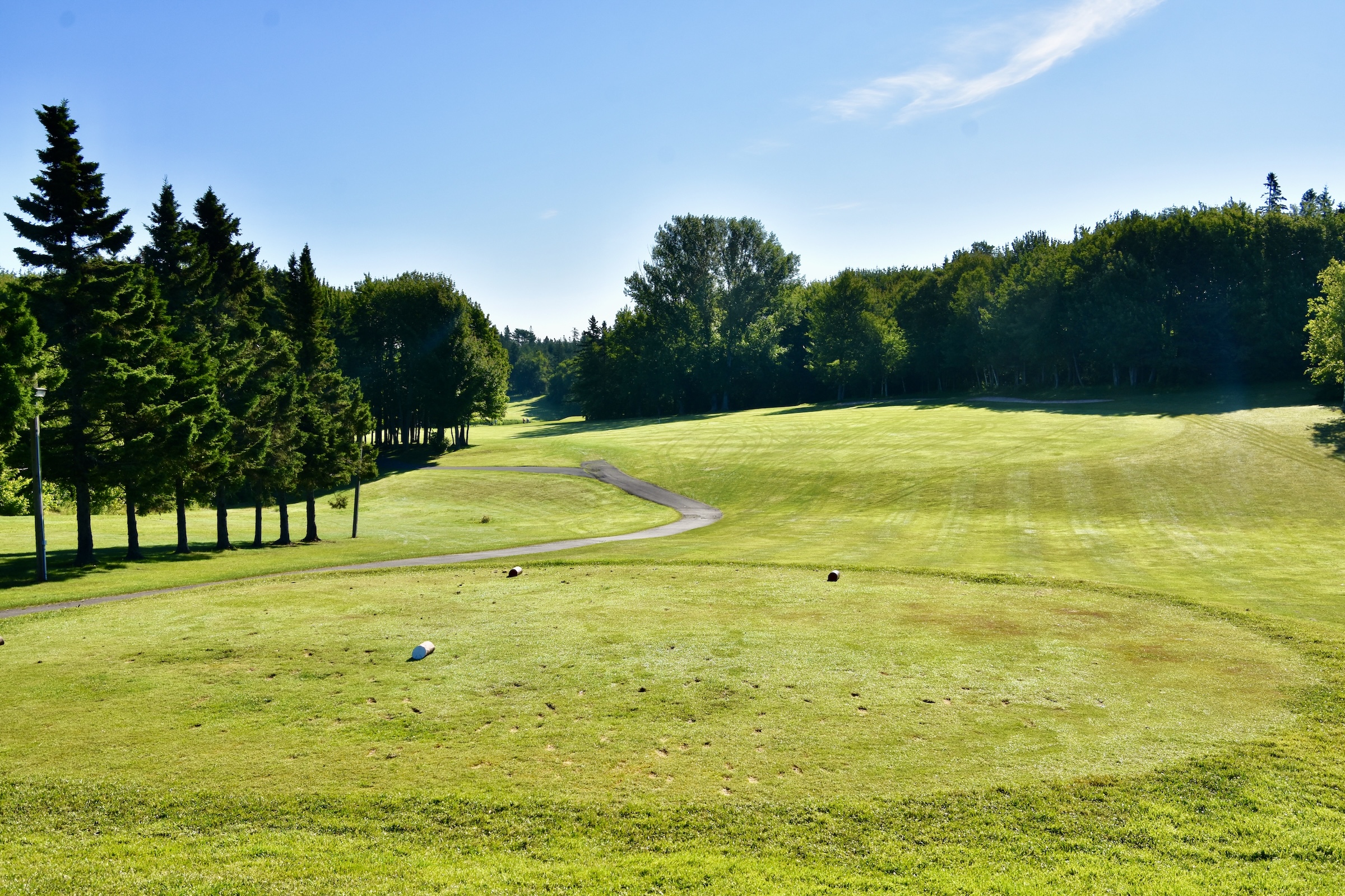 #1 - Shady Lady, Mill River
