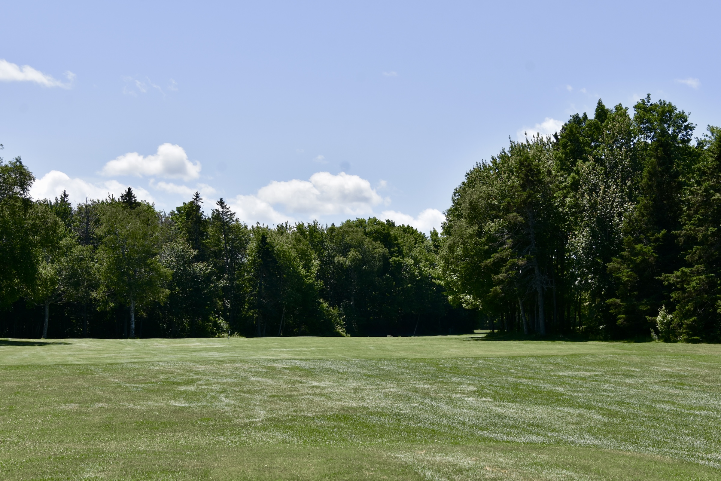 #16 - The Spinney, Mill River