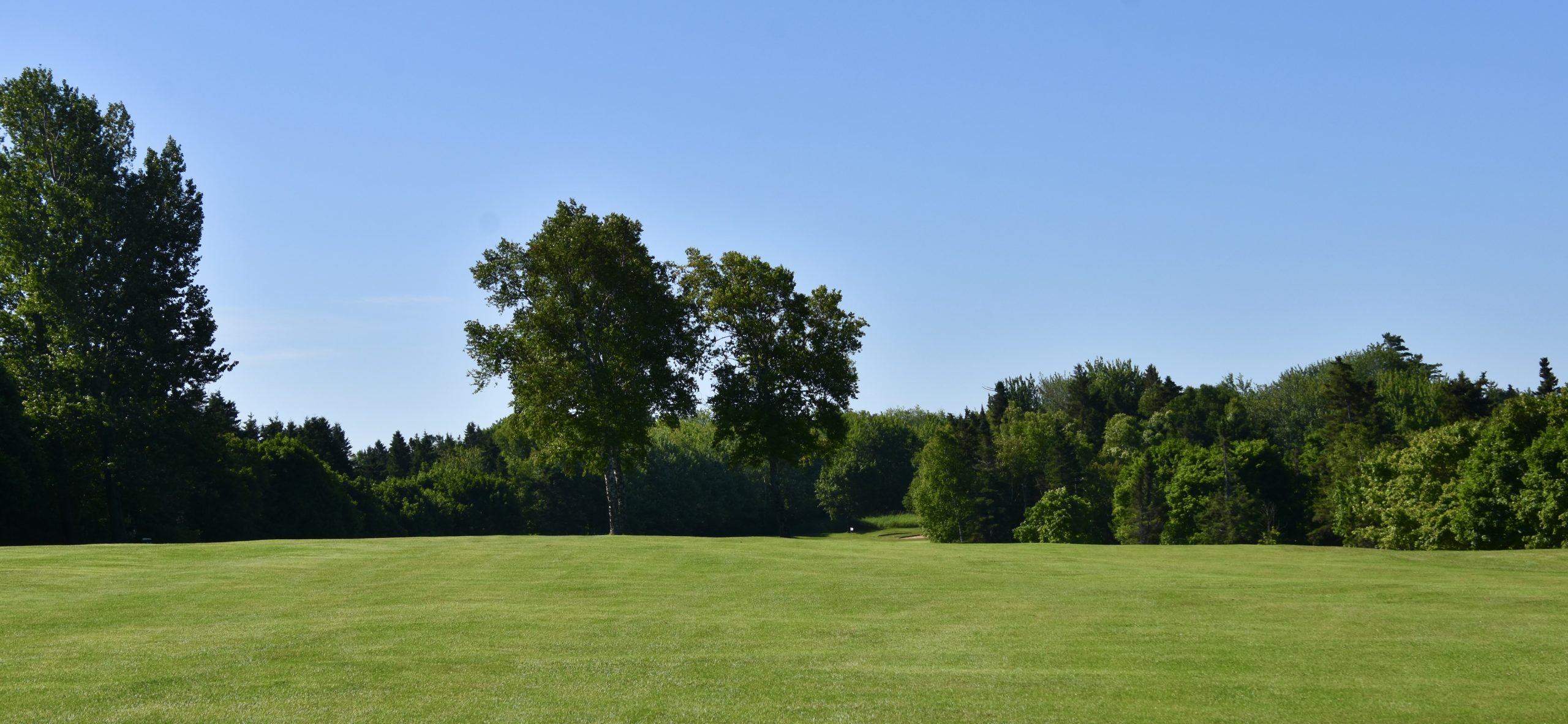 #6 - Duncan Brothers, Mill River