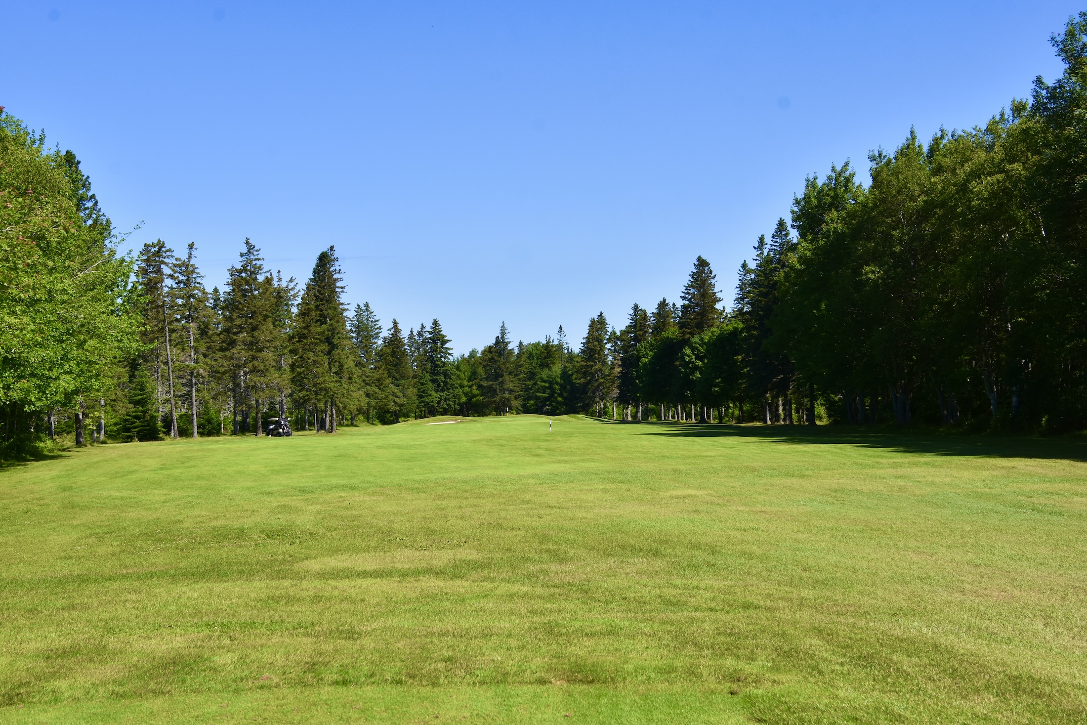 #9 - Homestead, Mill River