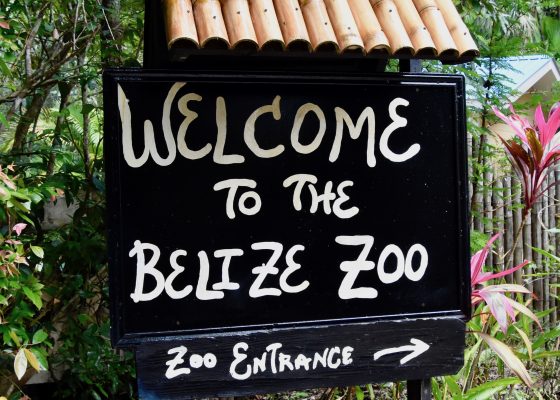 Welcome to Belize Zoo