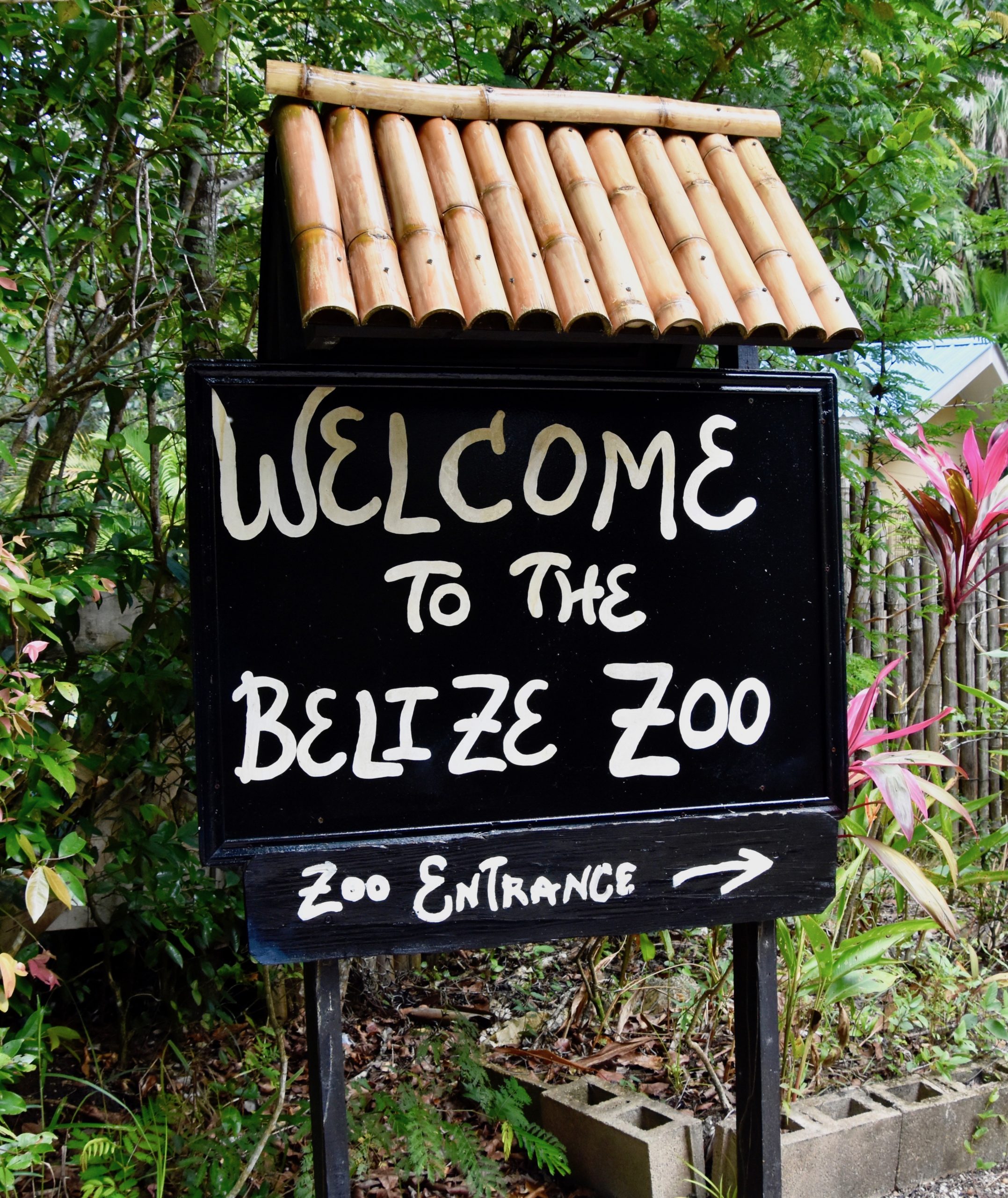 Welcome to Belize Zoo