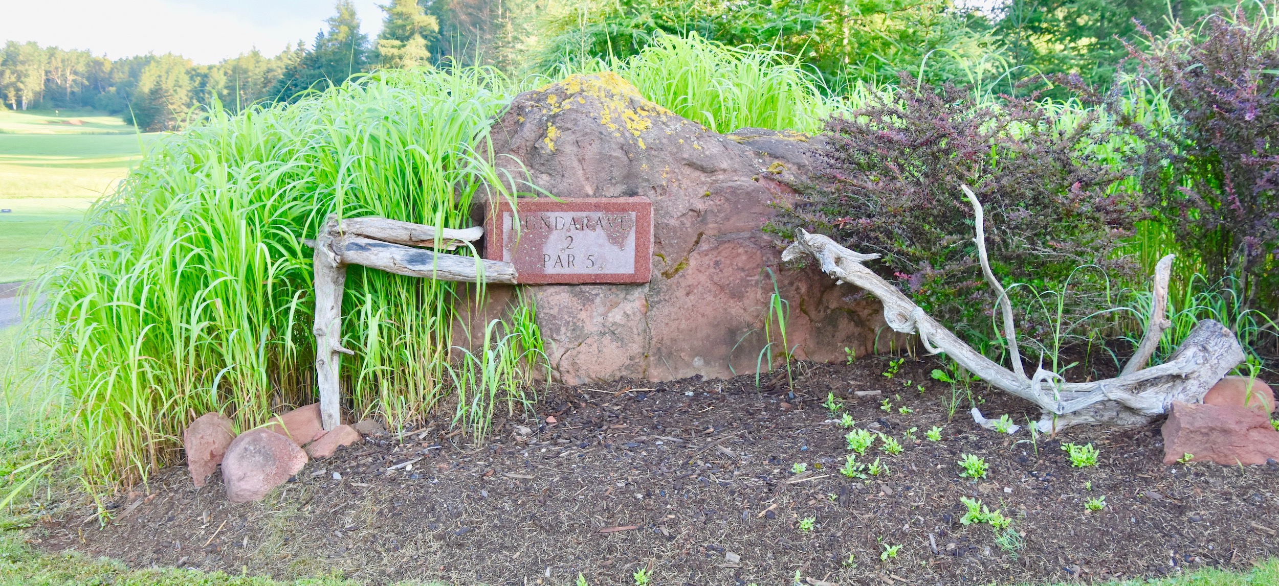 #2 Marker, Dundarave