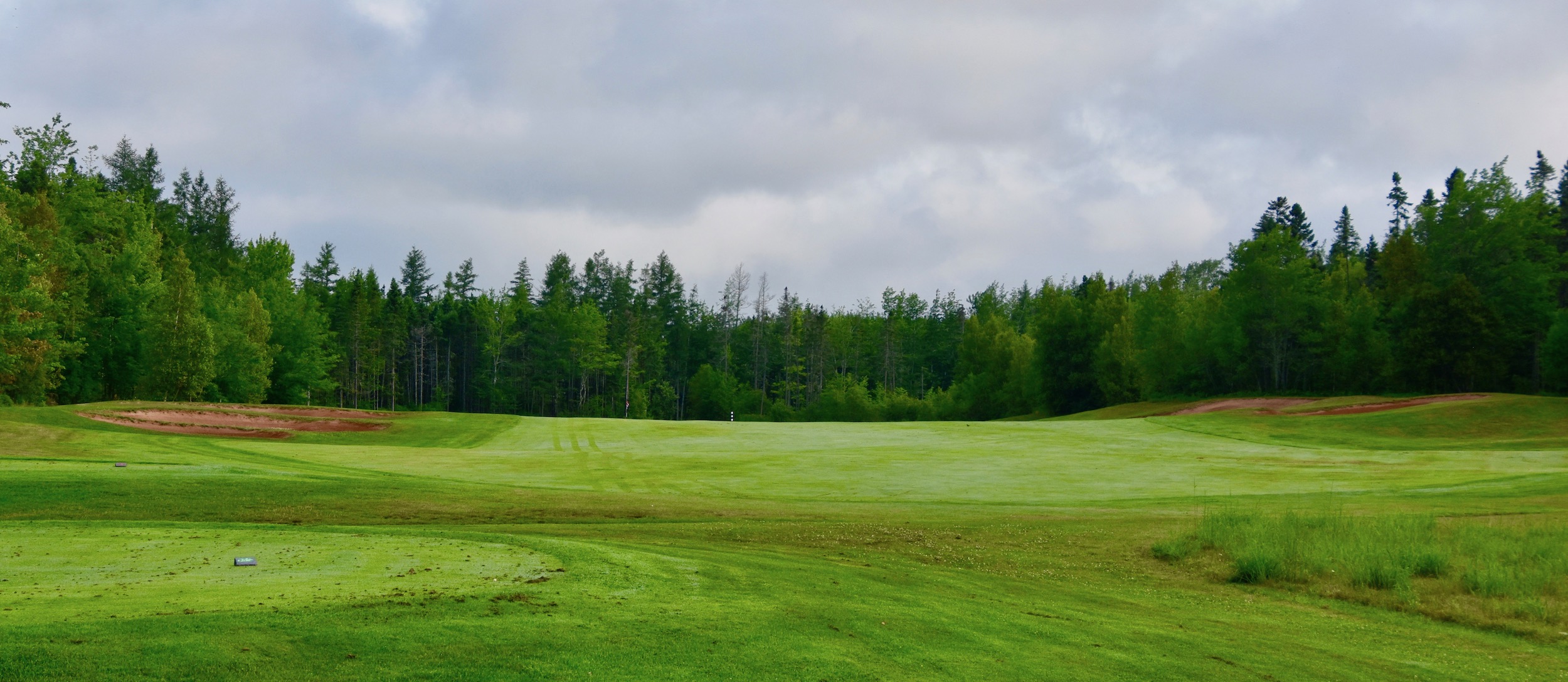 #6 - Marsh Pines, Dundarave