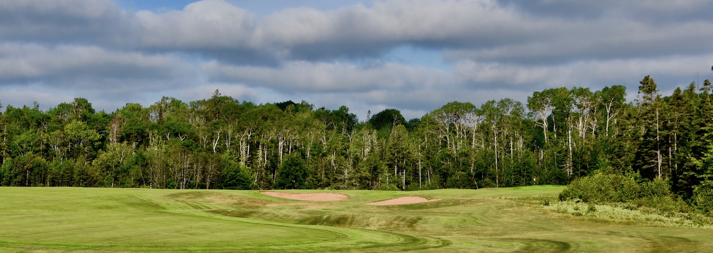 #9 - Blue Heron's Perch, Dundarave