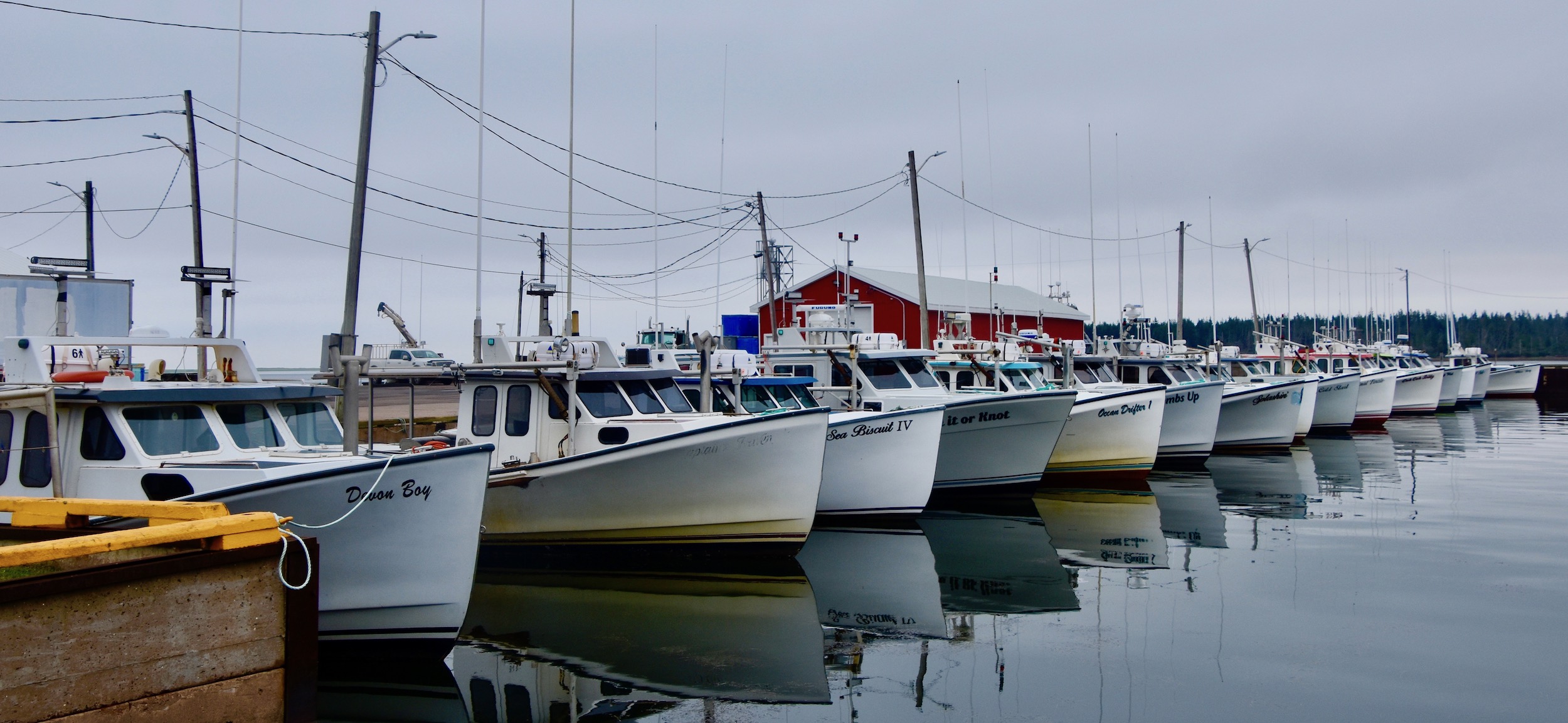 Northport Fishing Fleet, North Cape Coastal Drive