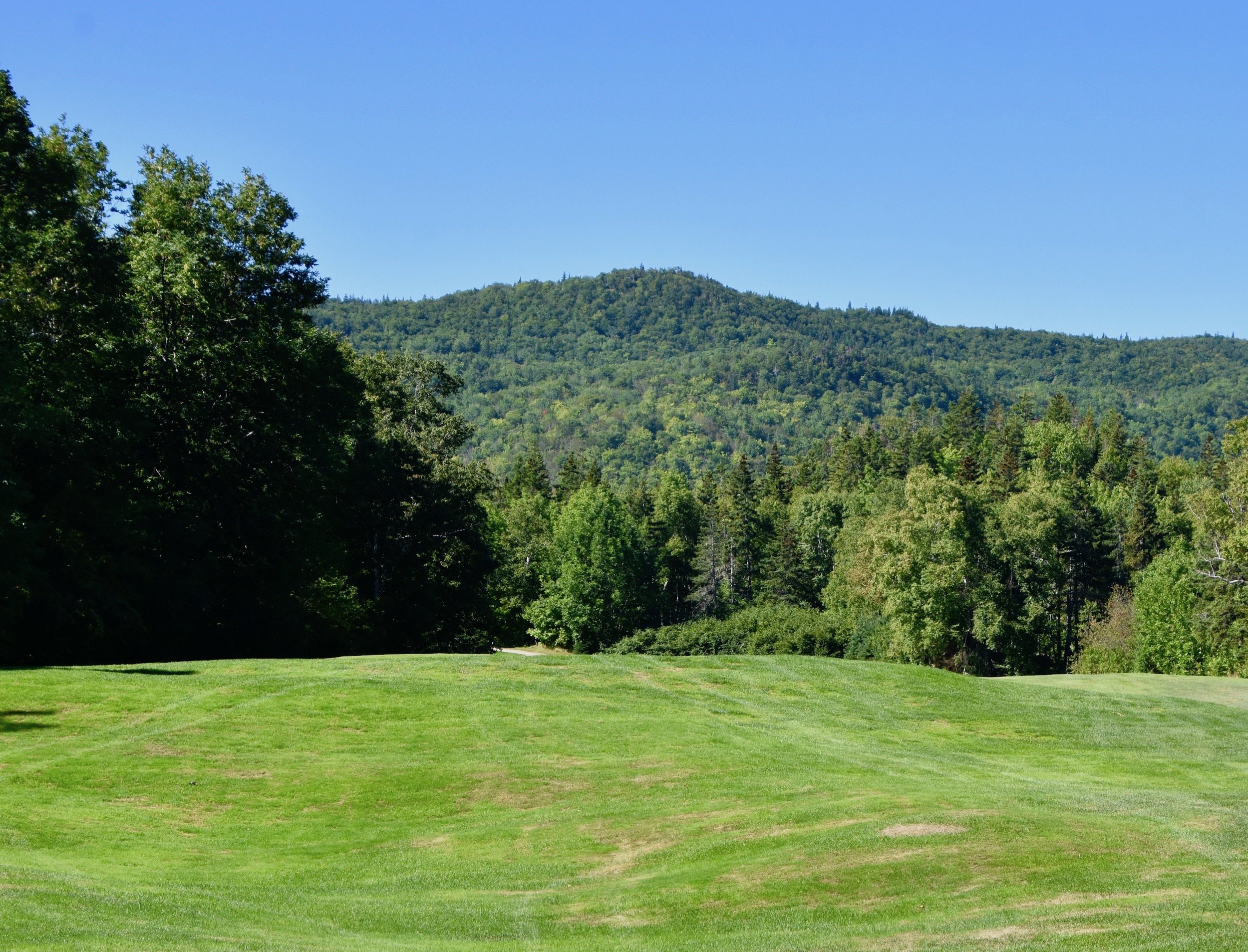 #14 - Haugh, Highlands Links