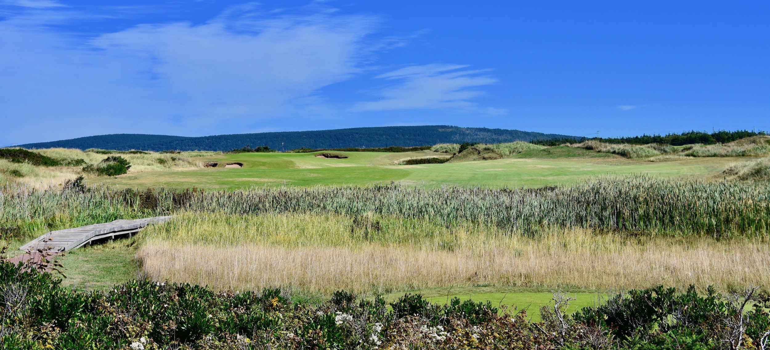 Cabot Links #15