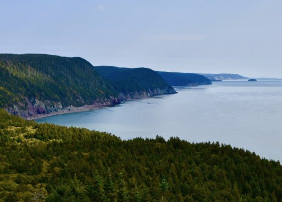 A View on the Fundy Trail Parkway