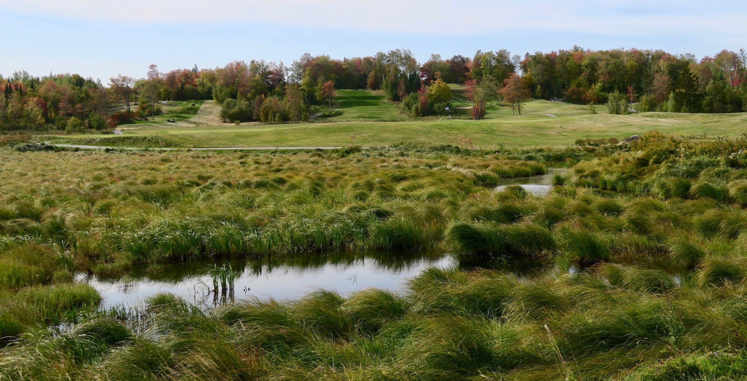 #16 Kingswood Looking Back