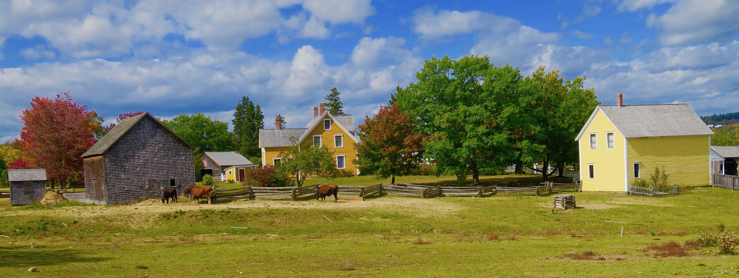 Kings Landing Village