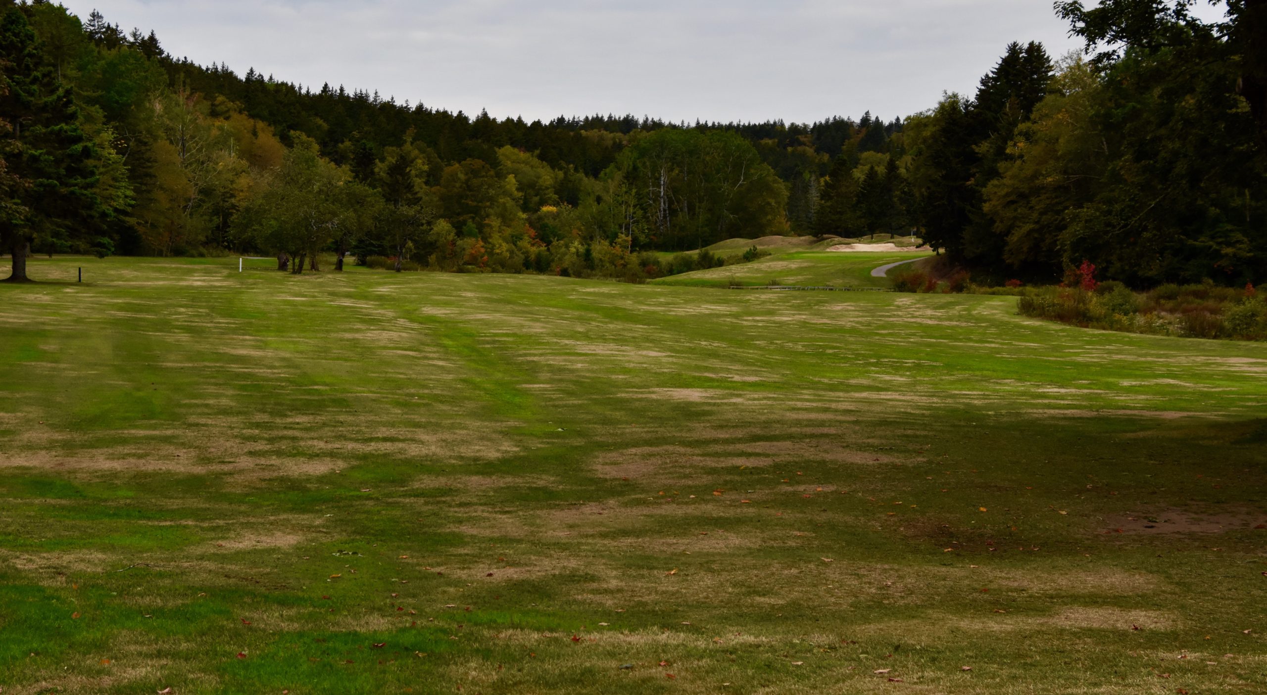 #2 Women's Tee, Fundy Golf Course