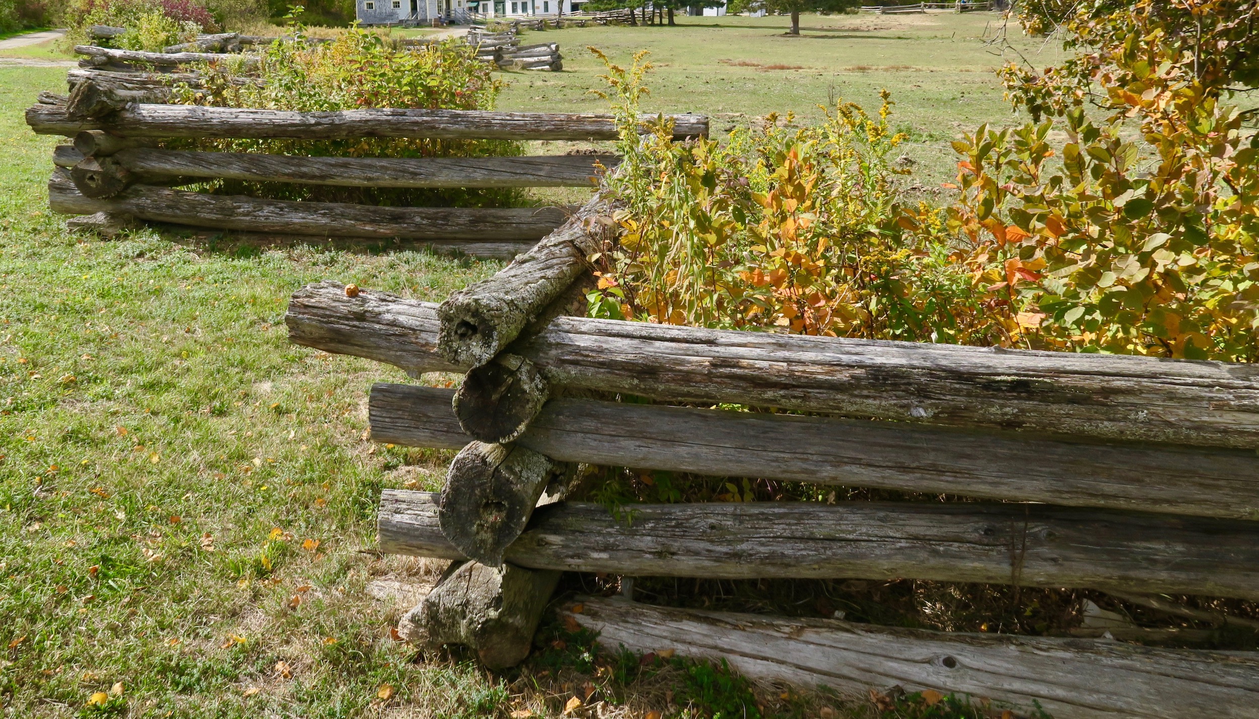 Split Rail Fence, Kings Landing