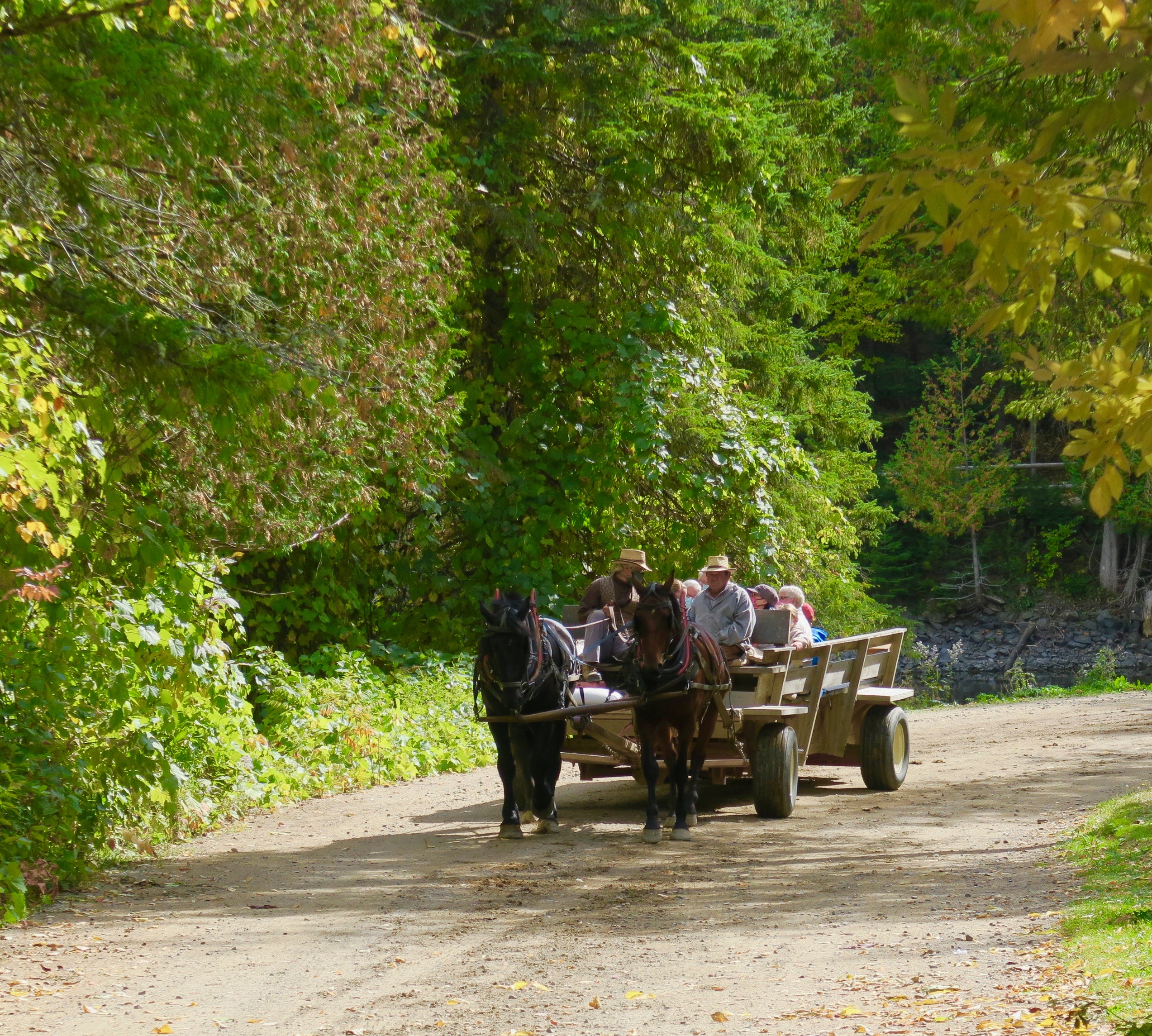 Horse Drawn Wagon, Kings Landing