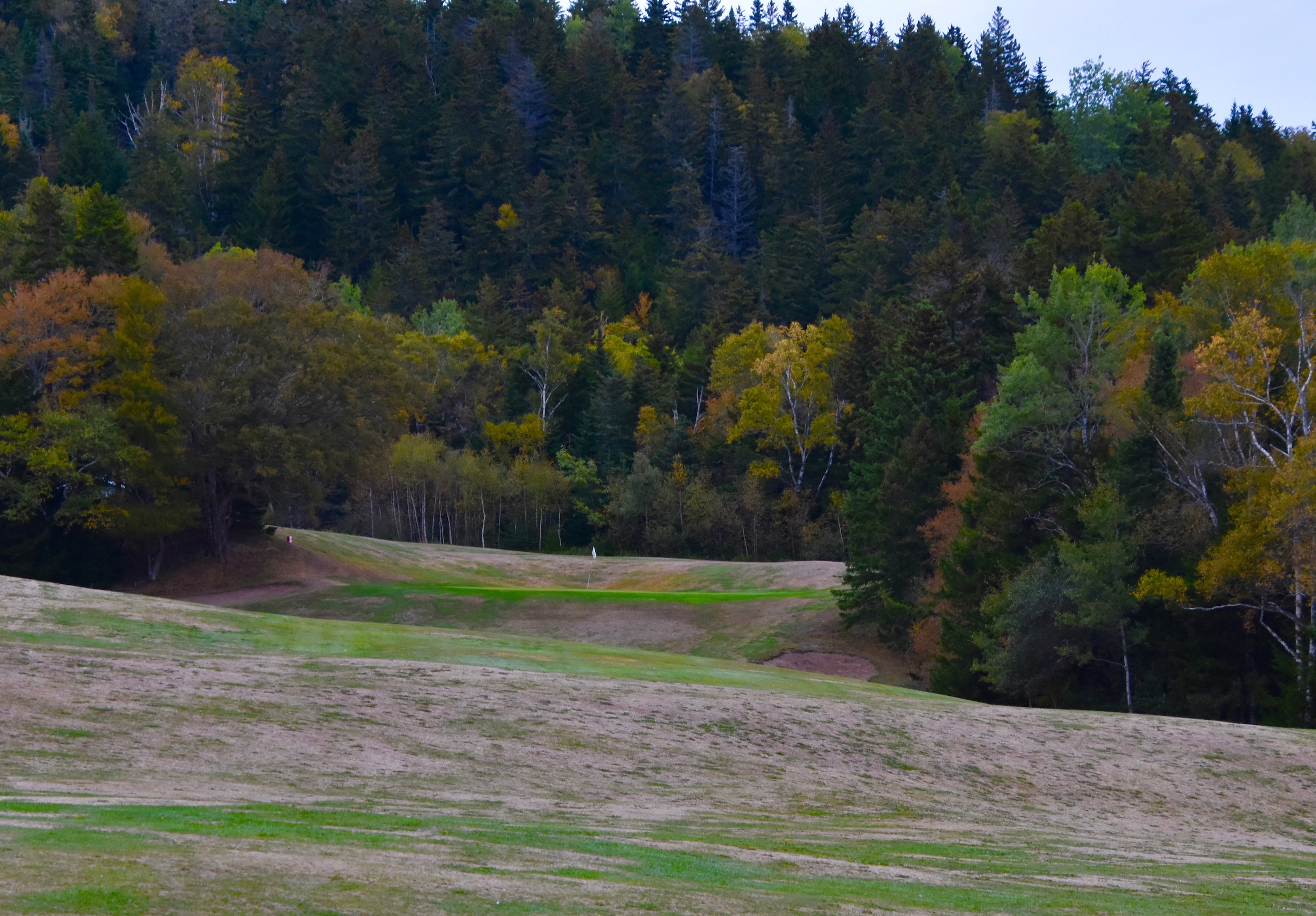 Fundy Golf Course #4