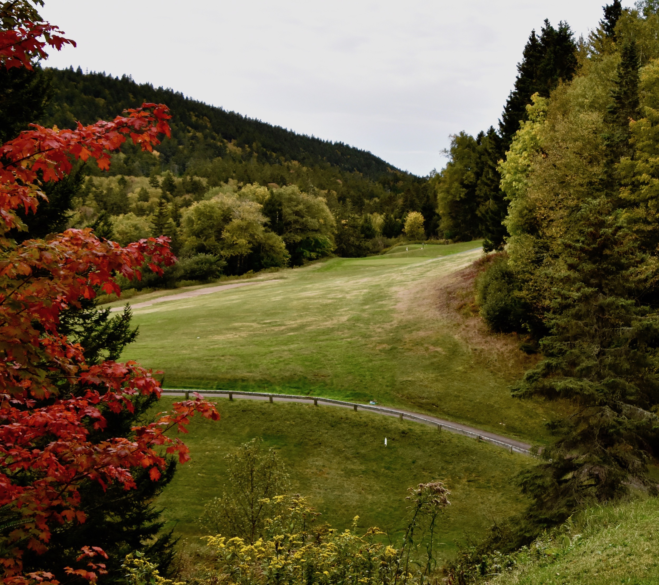 #6 Men's Tee, Fundy Golf Course