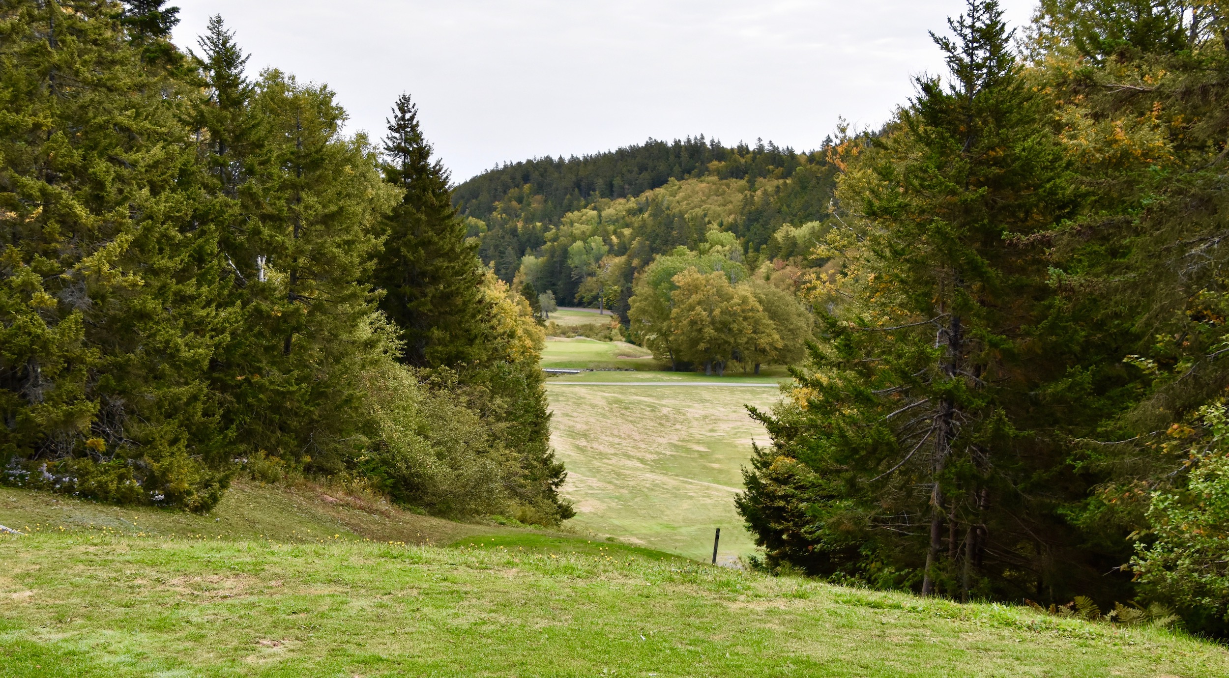 Fundy Golf Course #7