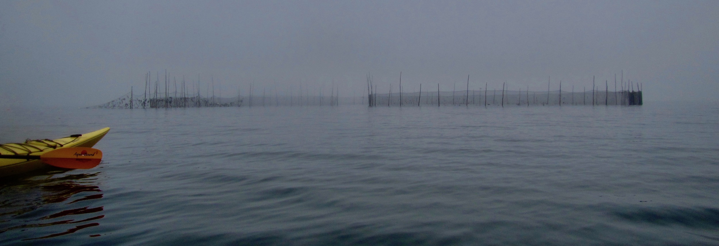 Approaching the Weir on Adventure High Sea Kayaking Tour