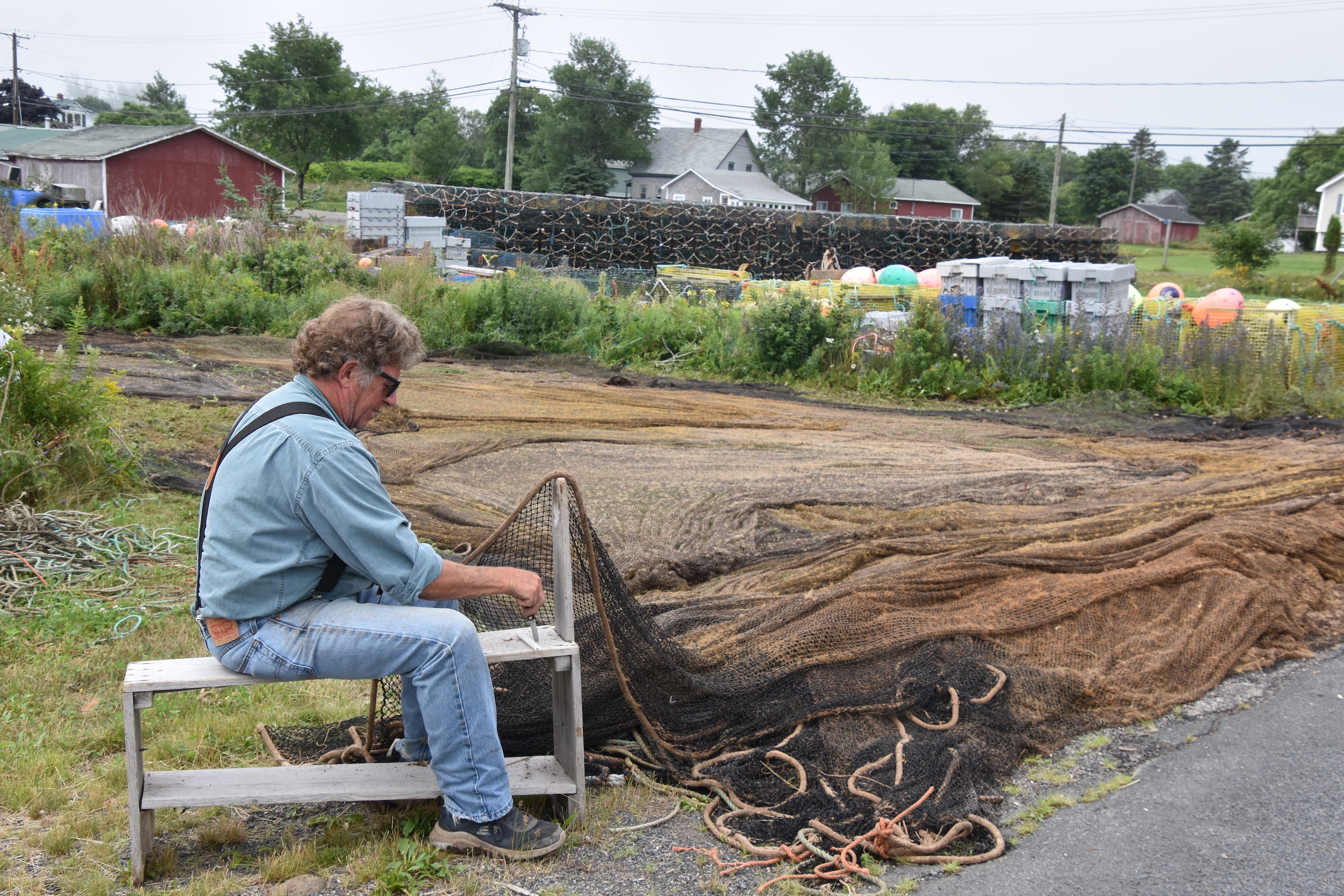 Bradley Small Repairing Nets on Grand Manan