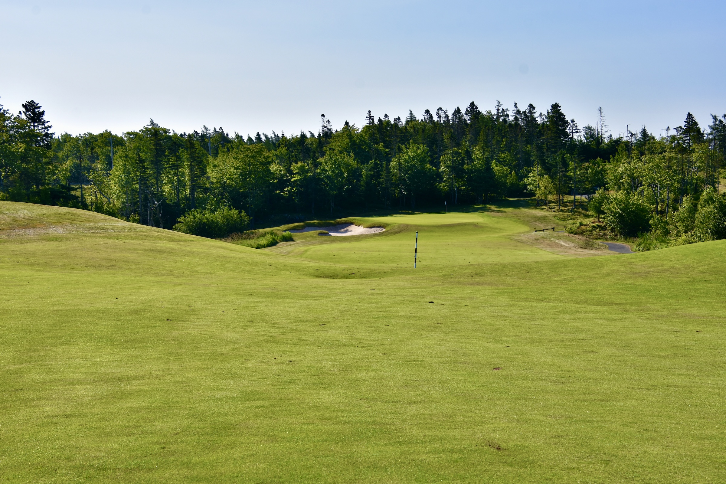 #11 Approach Brunello