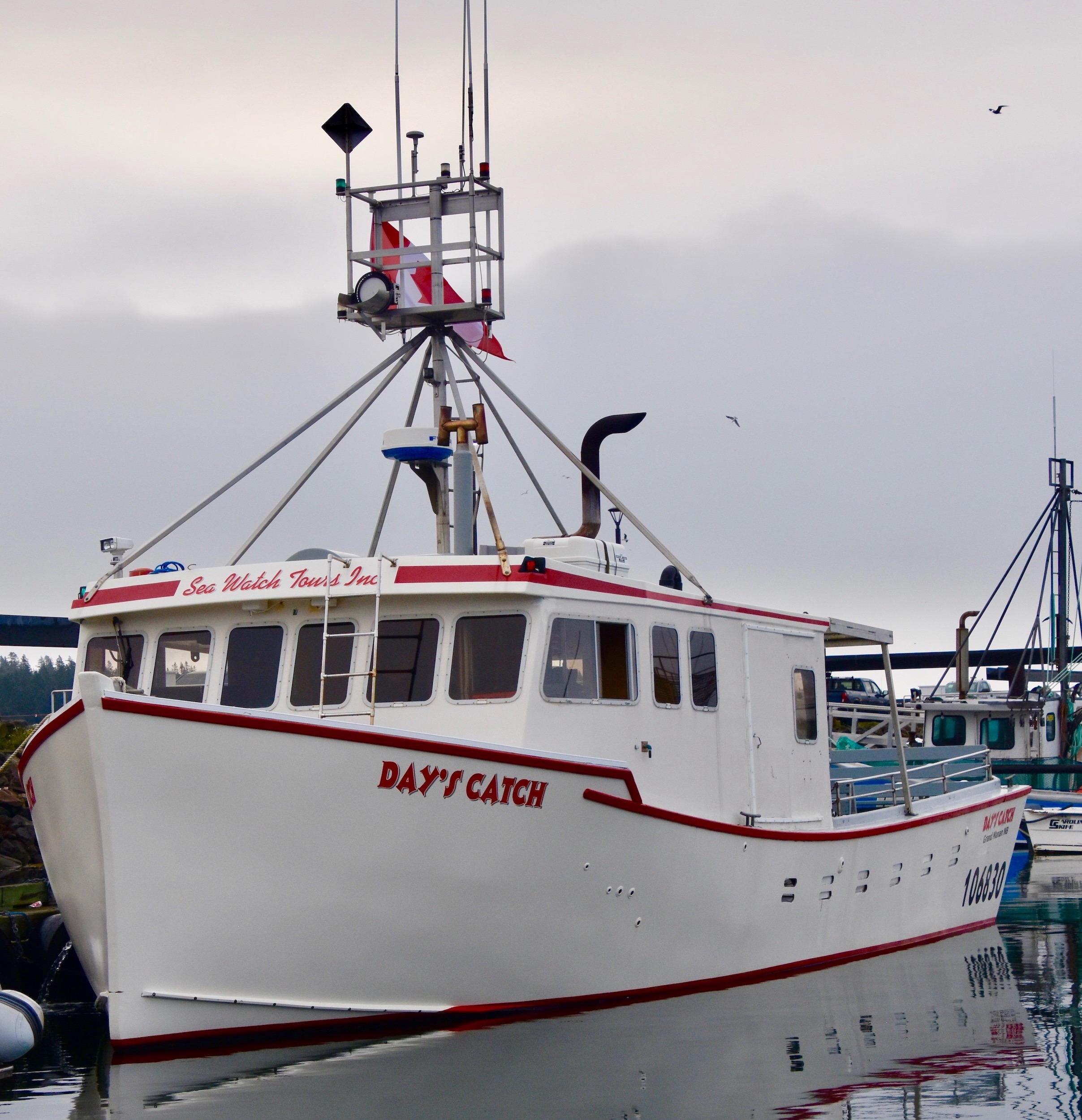 Sea Watch tours boat