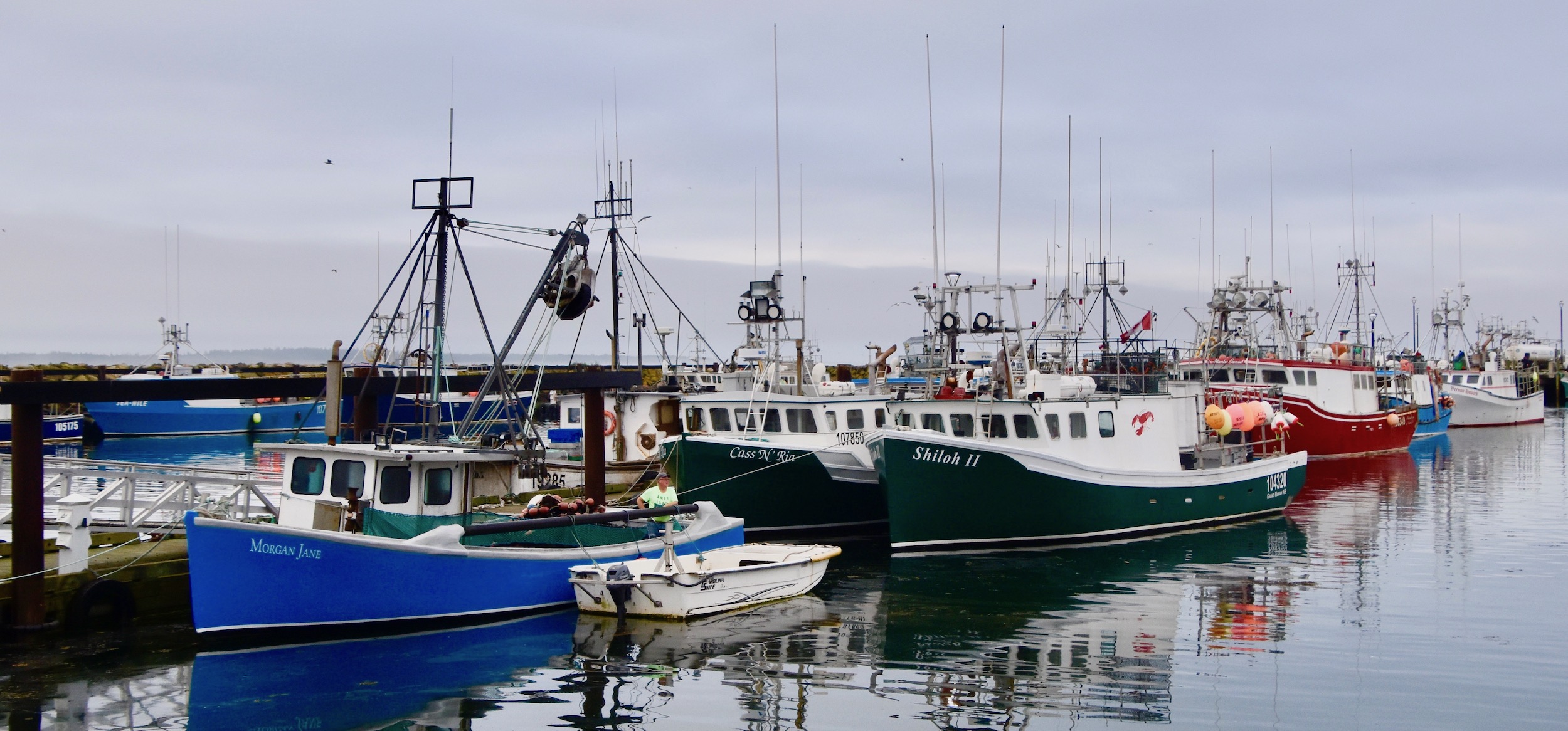 Seal Harbour Fleet, Grand Manan