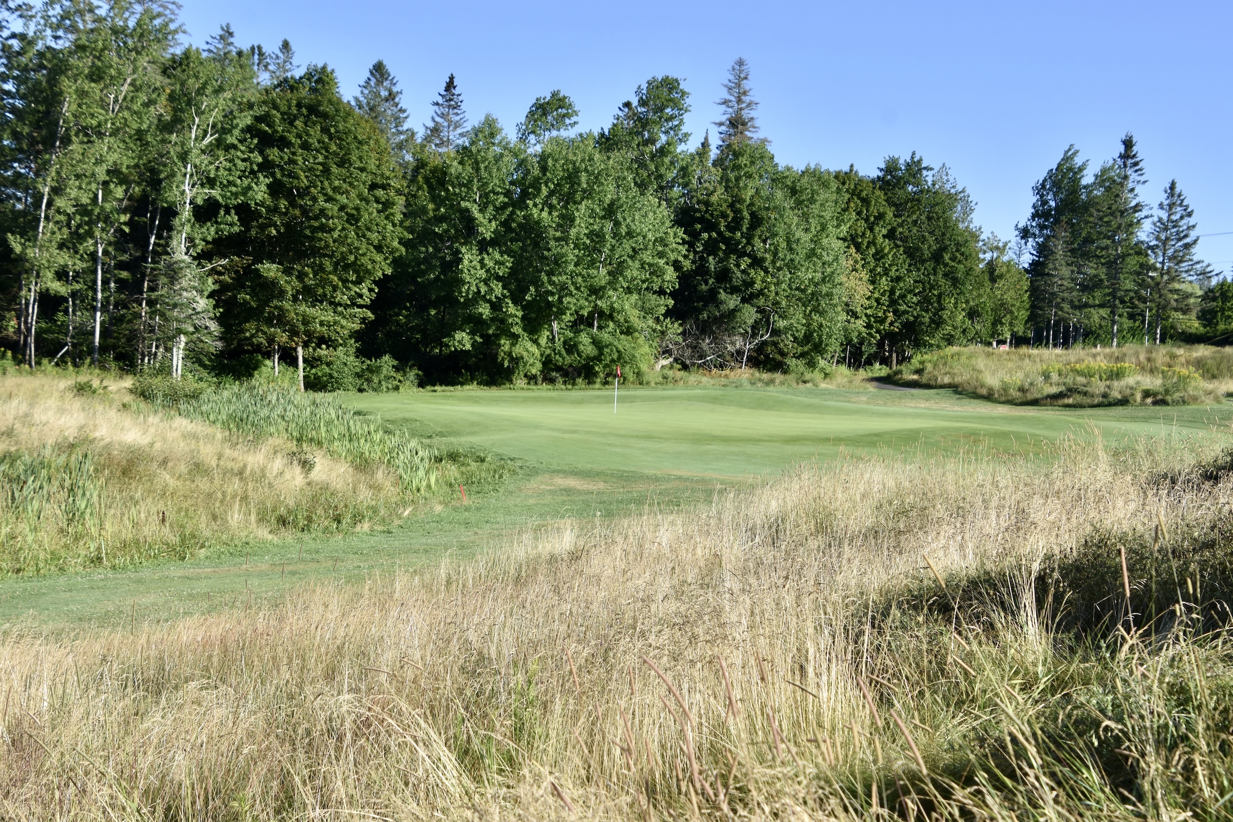 #8 Forward Tees Algonquin GC