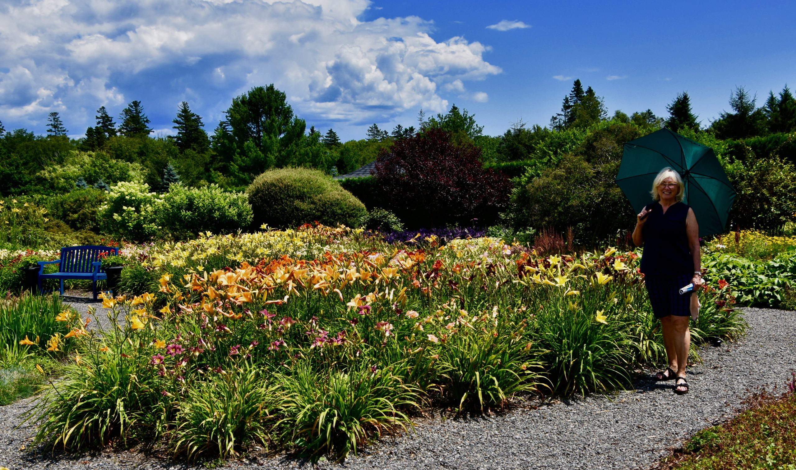 Alison and the Day Lilies, Kingsbrae Garden