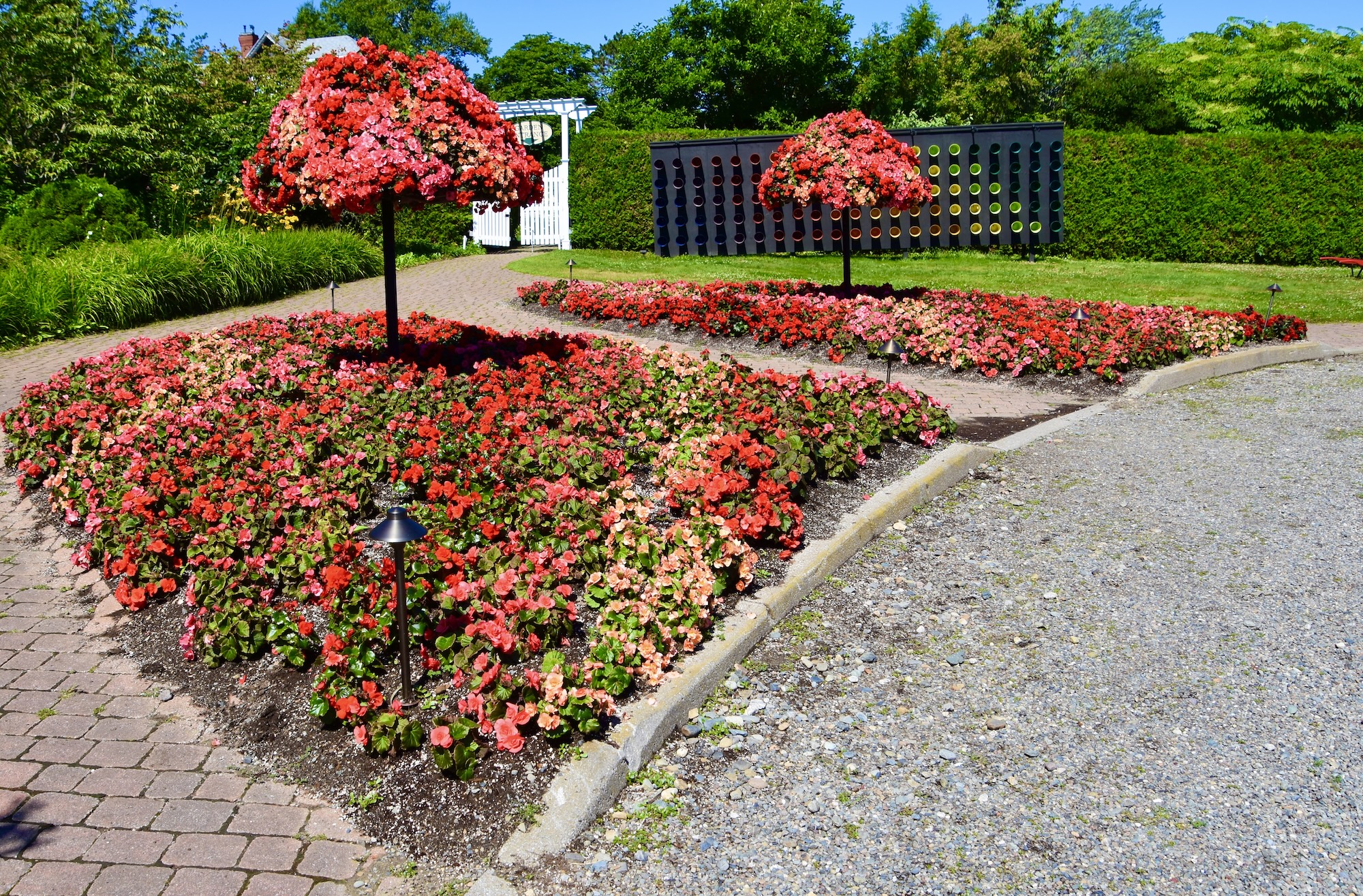 Begonia Trees at the Entrance to Kingsbrae Garden