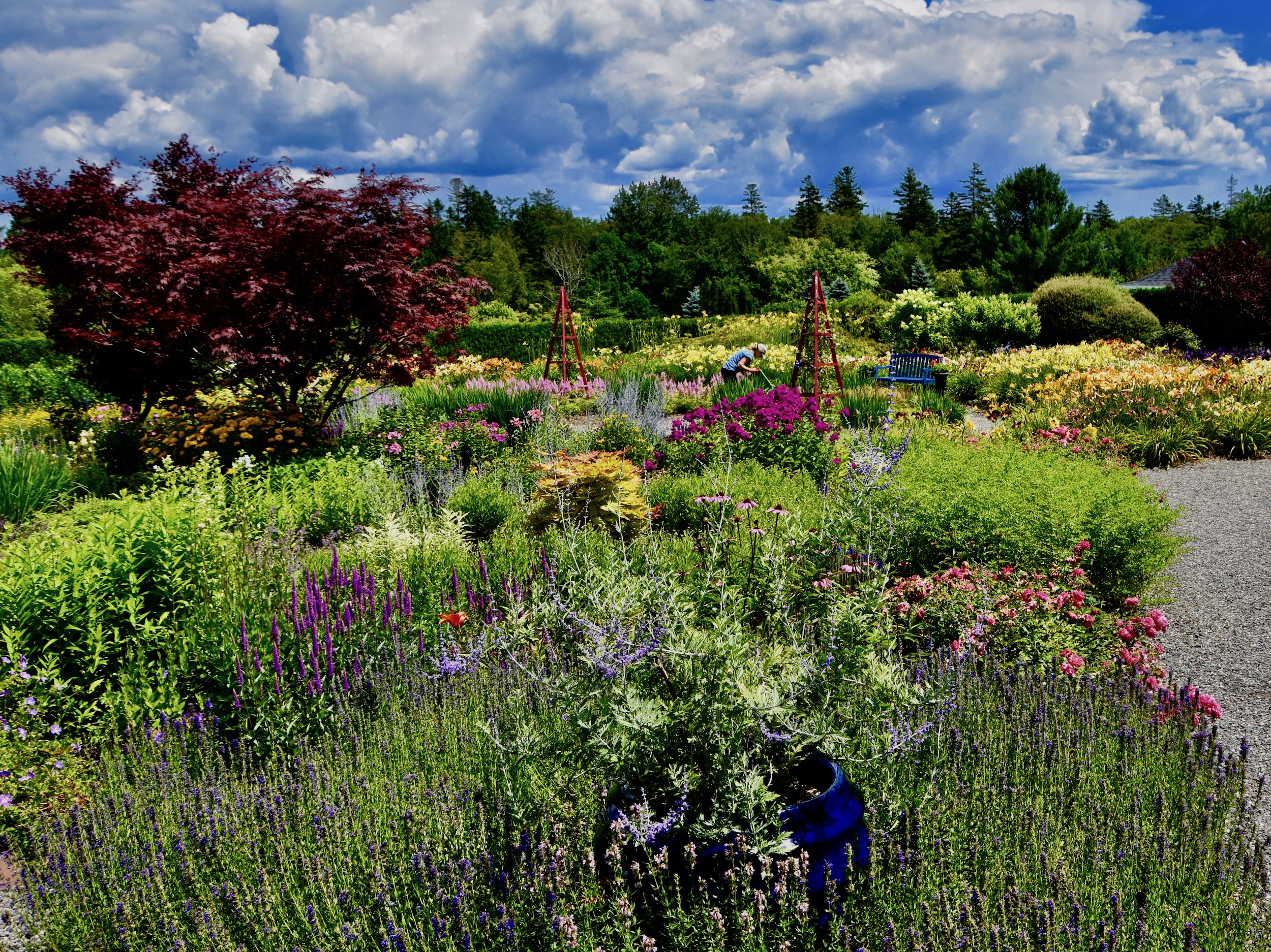 Explosion of Colour. Kingsbrae Garden