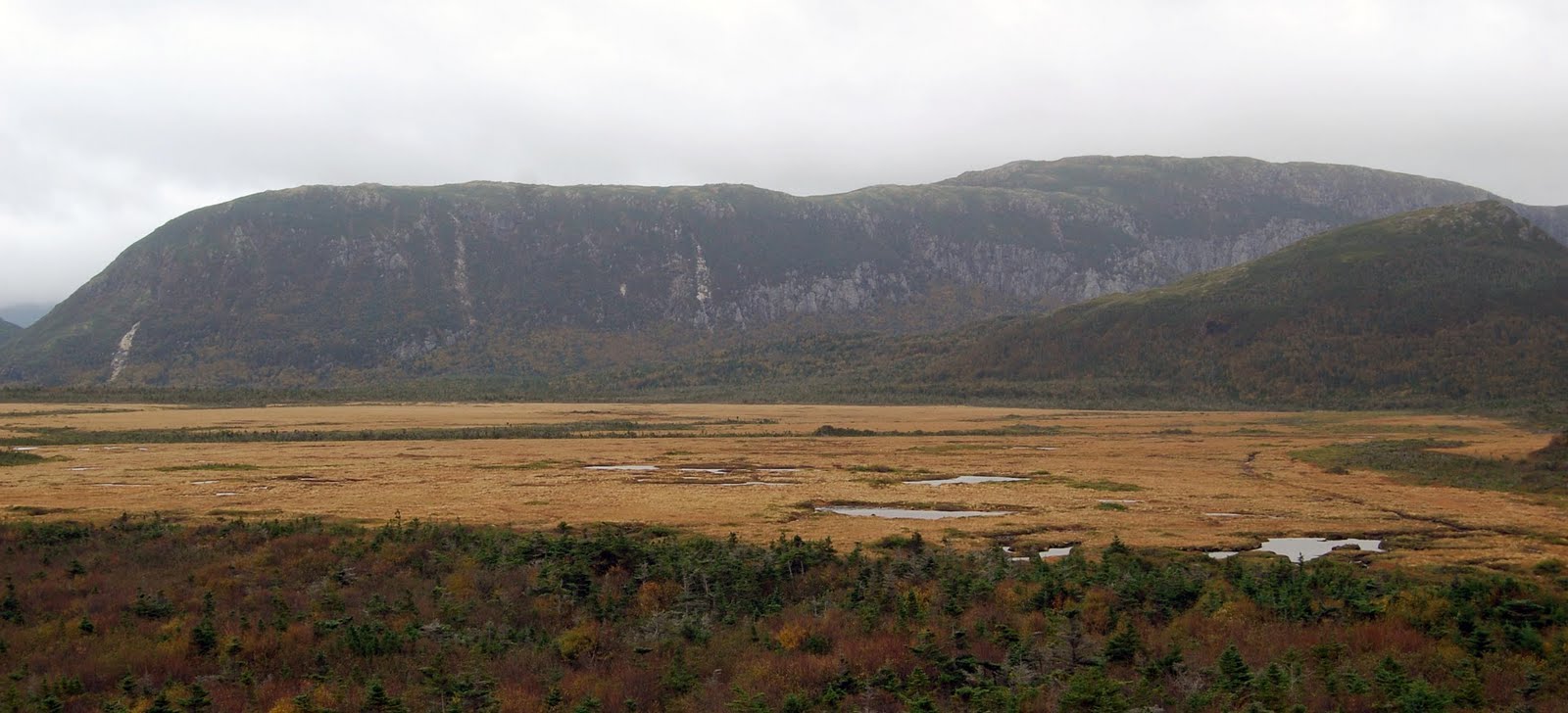 Moose Pasture, Captain James Cook Trail