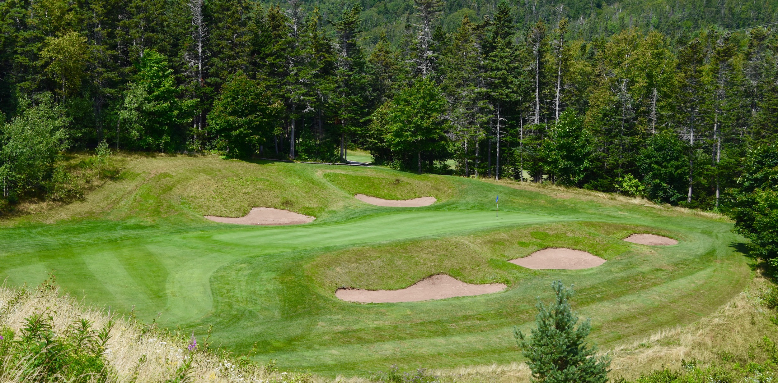 Humber Valley Resort #17